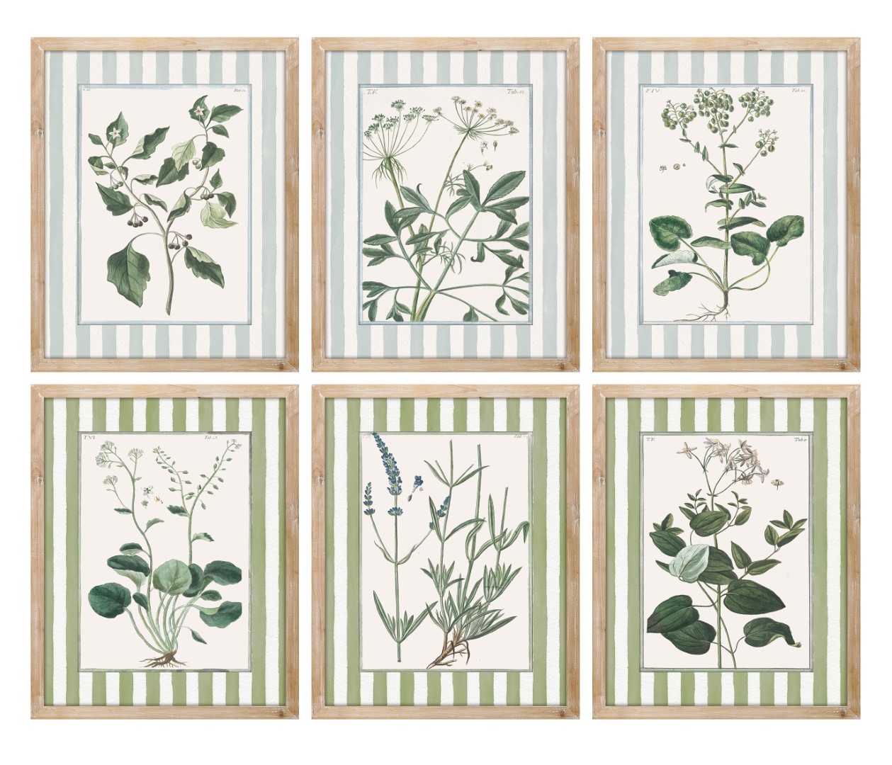 CUADRO ABETO CRISTAL 30X2,5X40 BOTANICO 6 SURT.