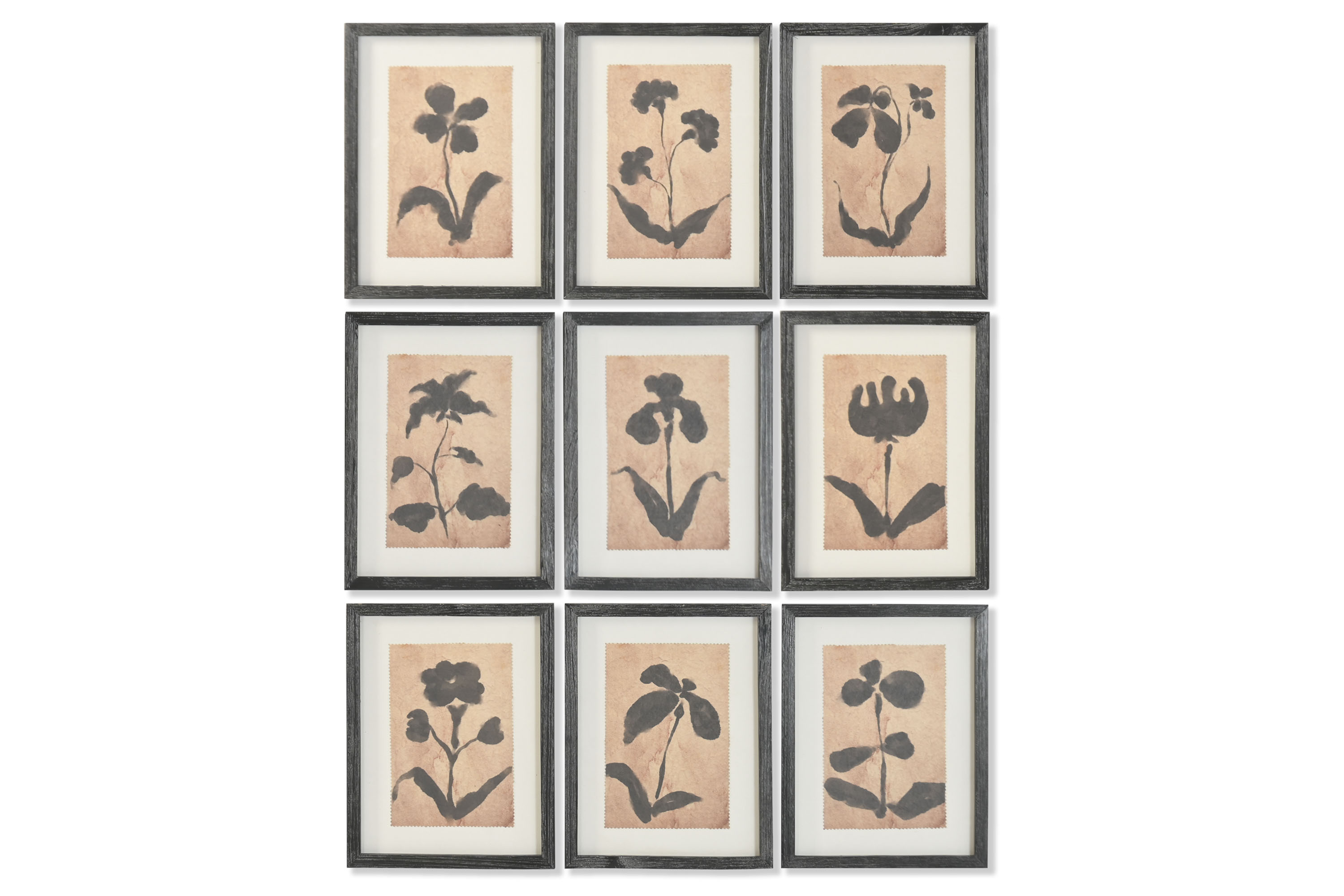CUADRO ABETO CRISTAL 30X2X40 BOTANICO 9 SURT.