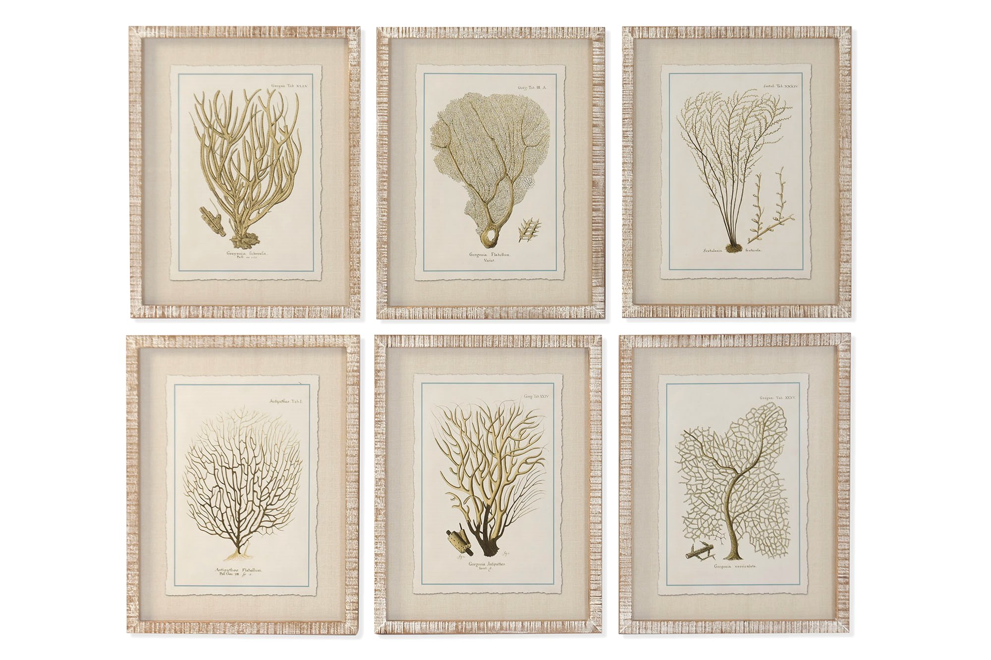 CUADRO CRISTAL ABETO 35X2,5X45 CORAL 6 SURT.