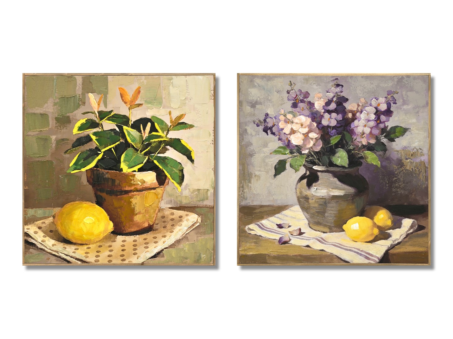 CUADRO LIENZO PS 62X2,5X62 PLANTA LIMONES 2 SURT.