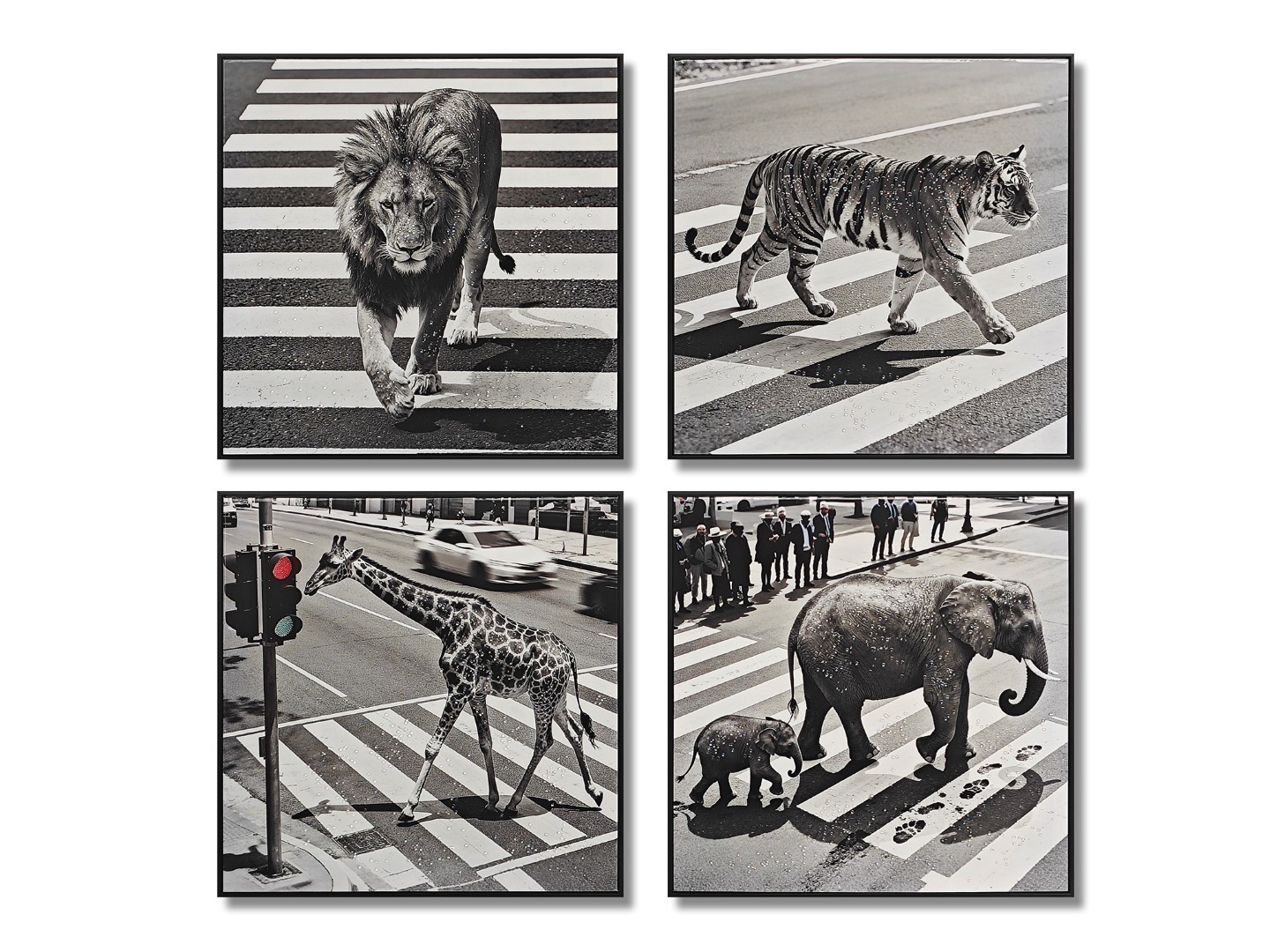CUADRO LIENZO PS 62X4,5X62 ANIMAL CIUDAD 4 SURT.