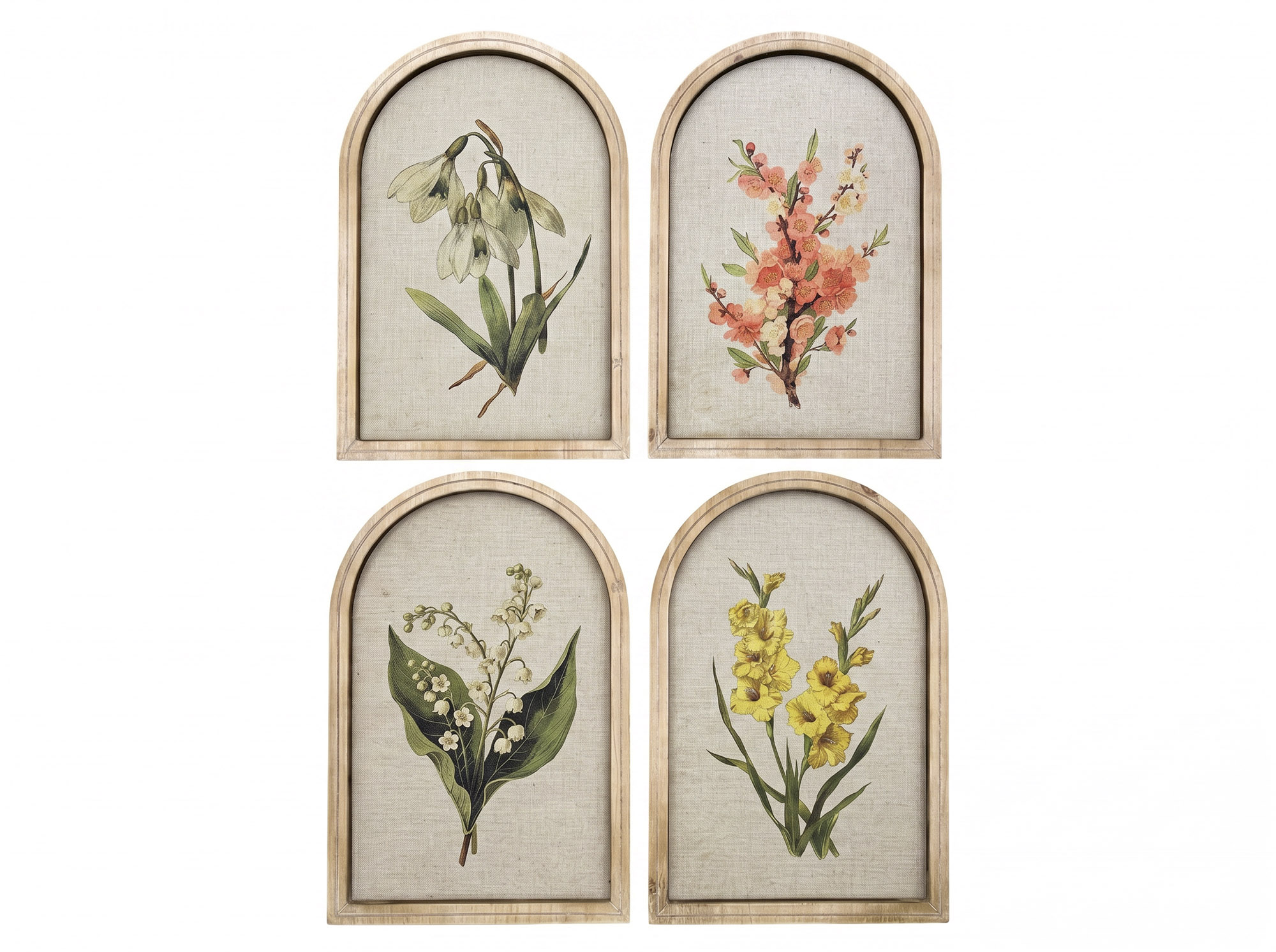 CUADRO LINO ABETO 40X2X60 BOTANICO 4 SURT.