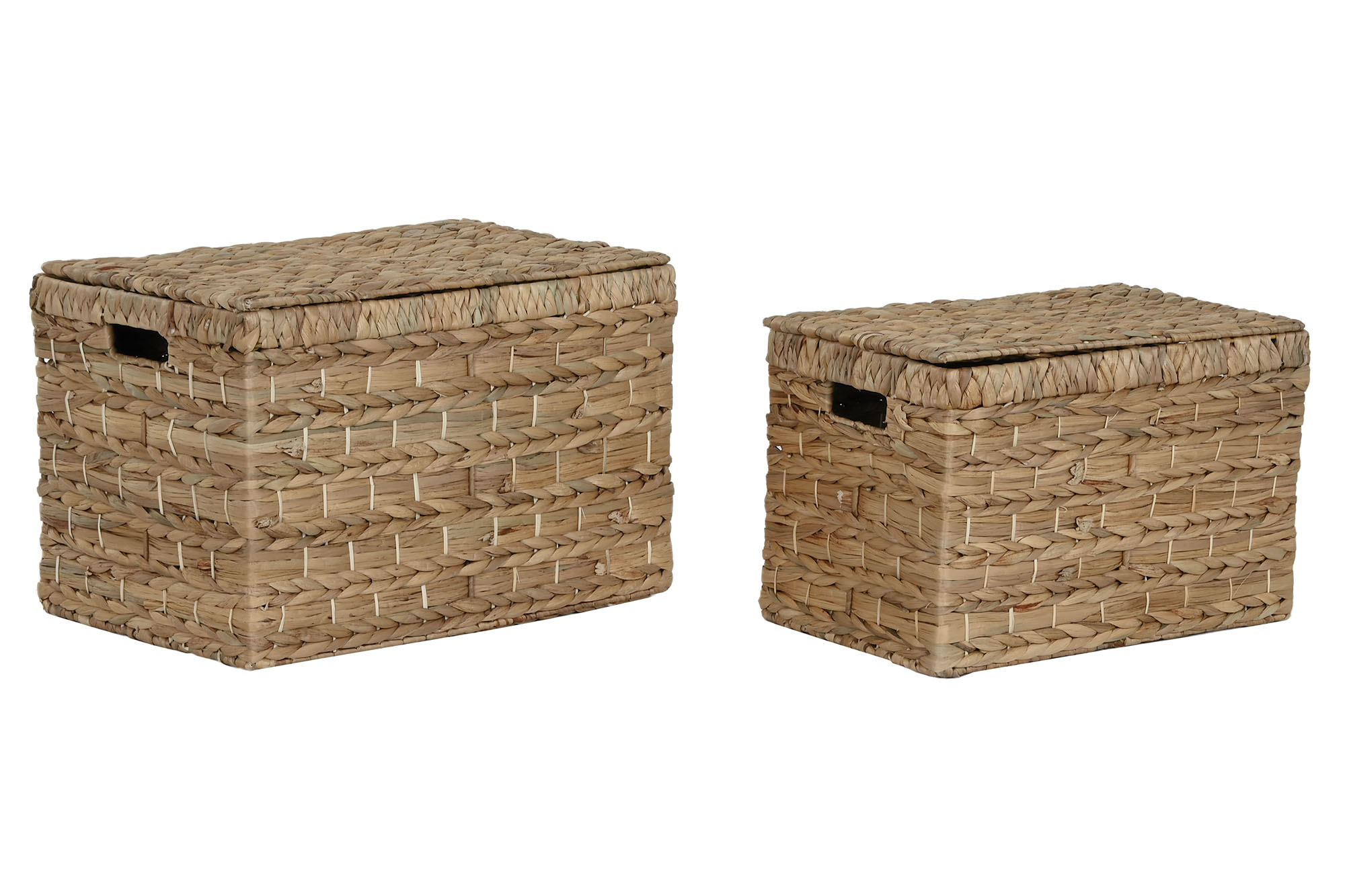 CAJA SET 2 JACINTO DE AGUA METAL 52X34X33 NATURAL