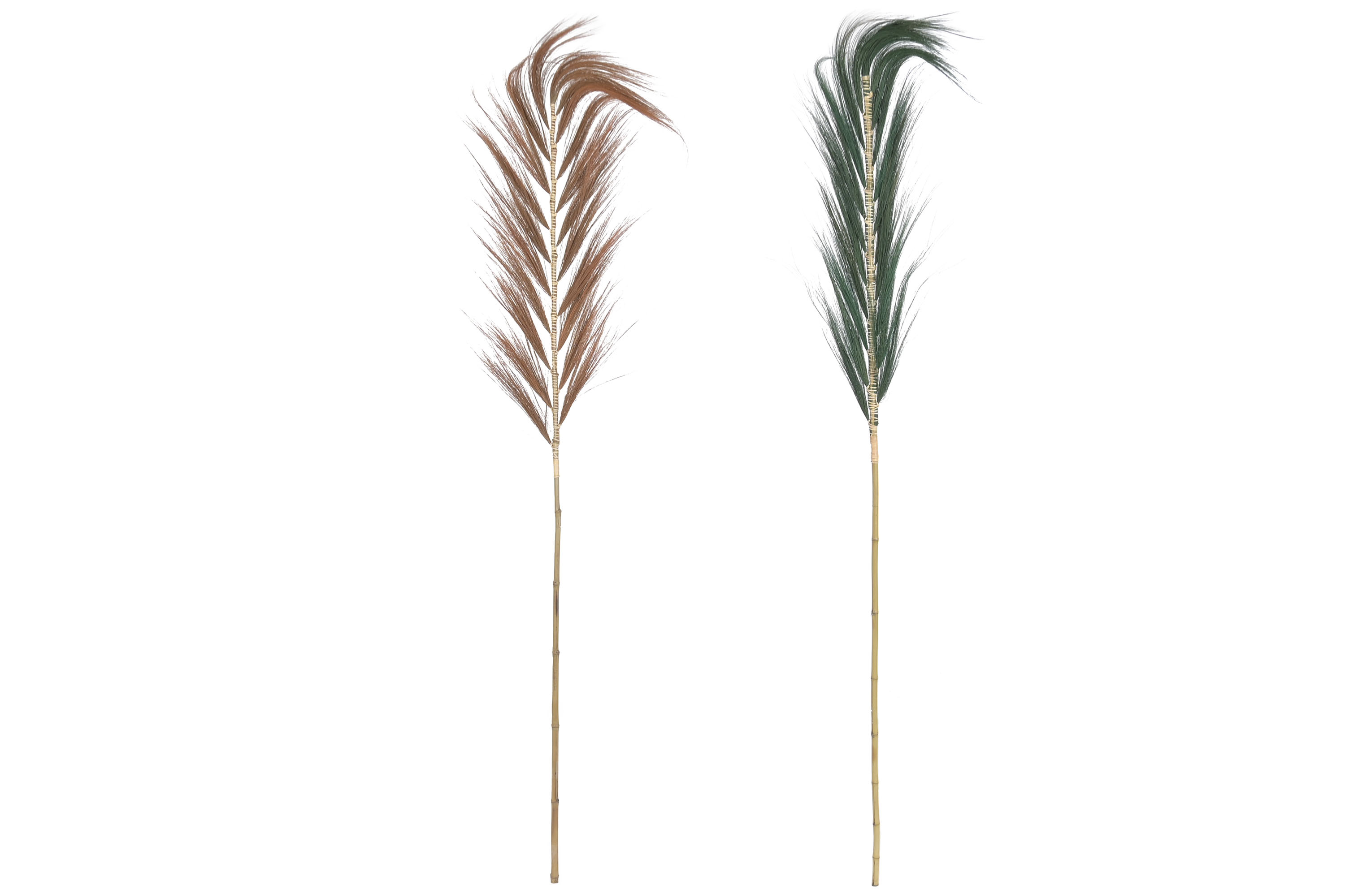 DECORACION RAYUNG BAMBU 30X1,5X240 2 SURT.