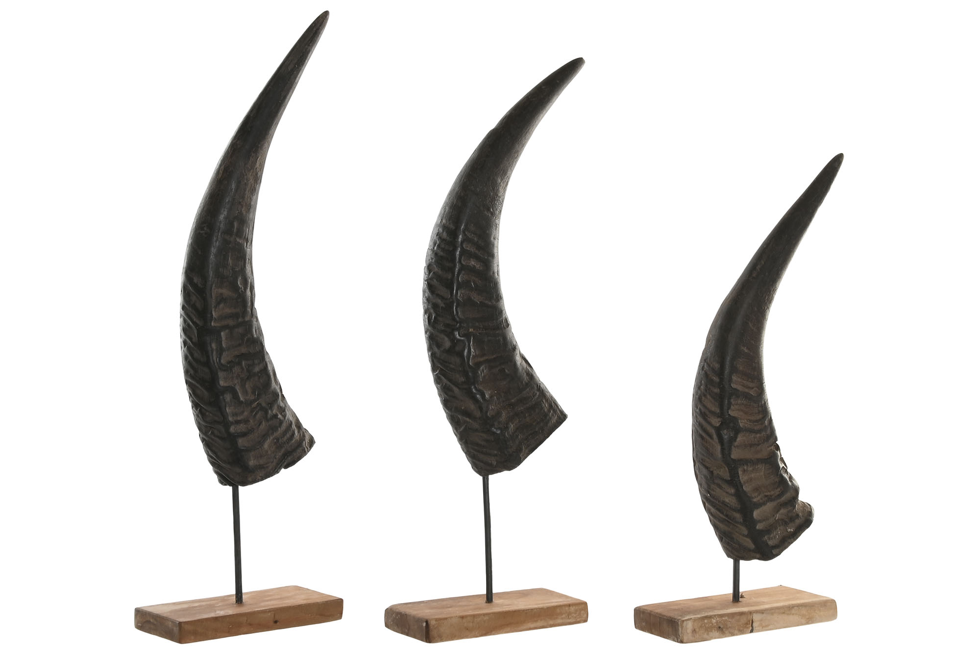 DECORACION SET 3 CUERNO BUFALO 20X11X63 SOPORTE