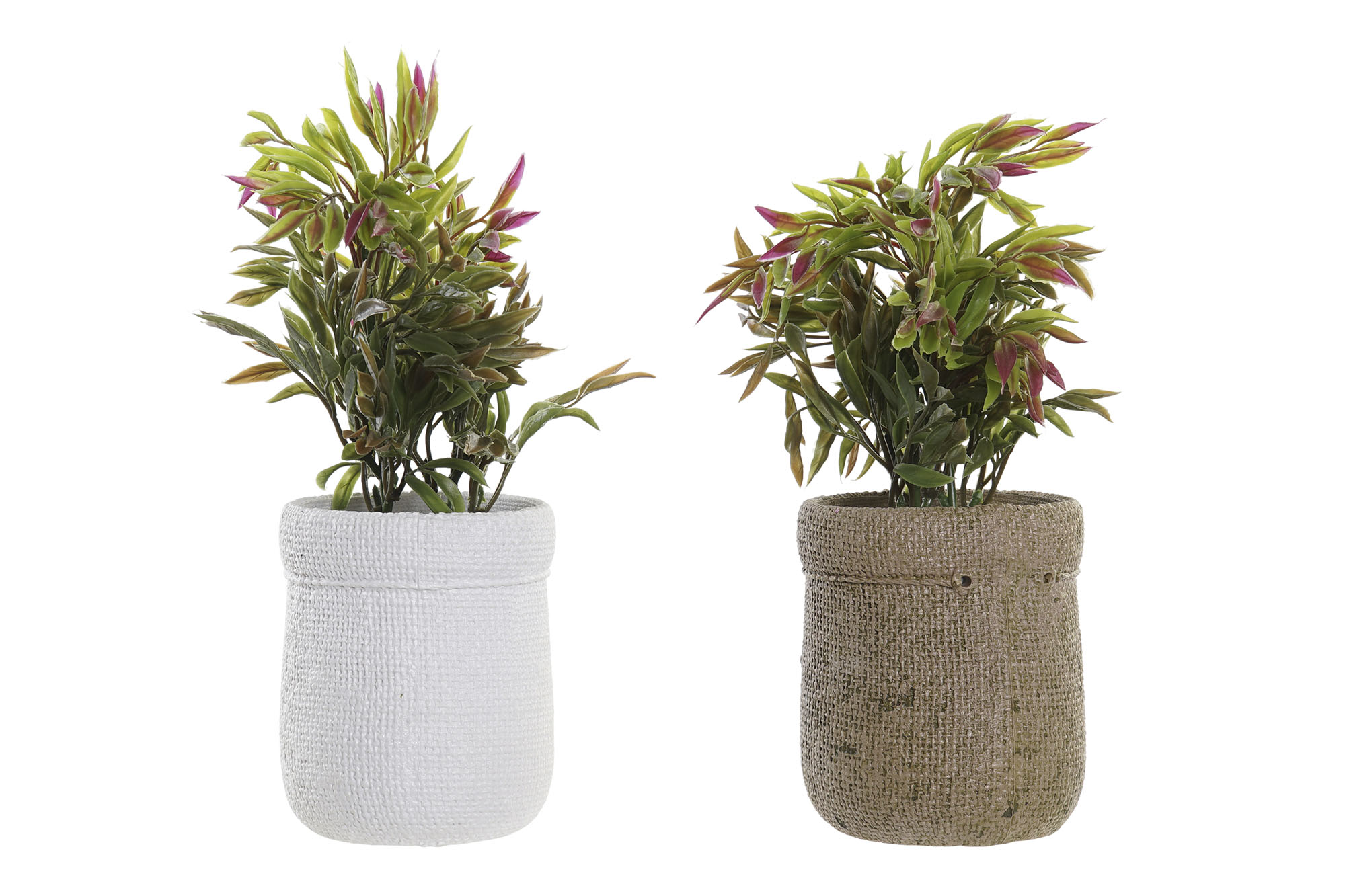PLANTA PE EVA 16X16X21 2 SURT.