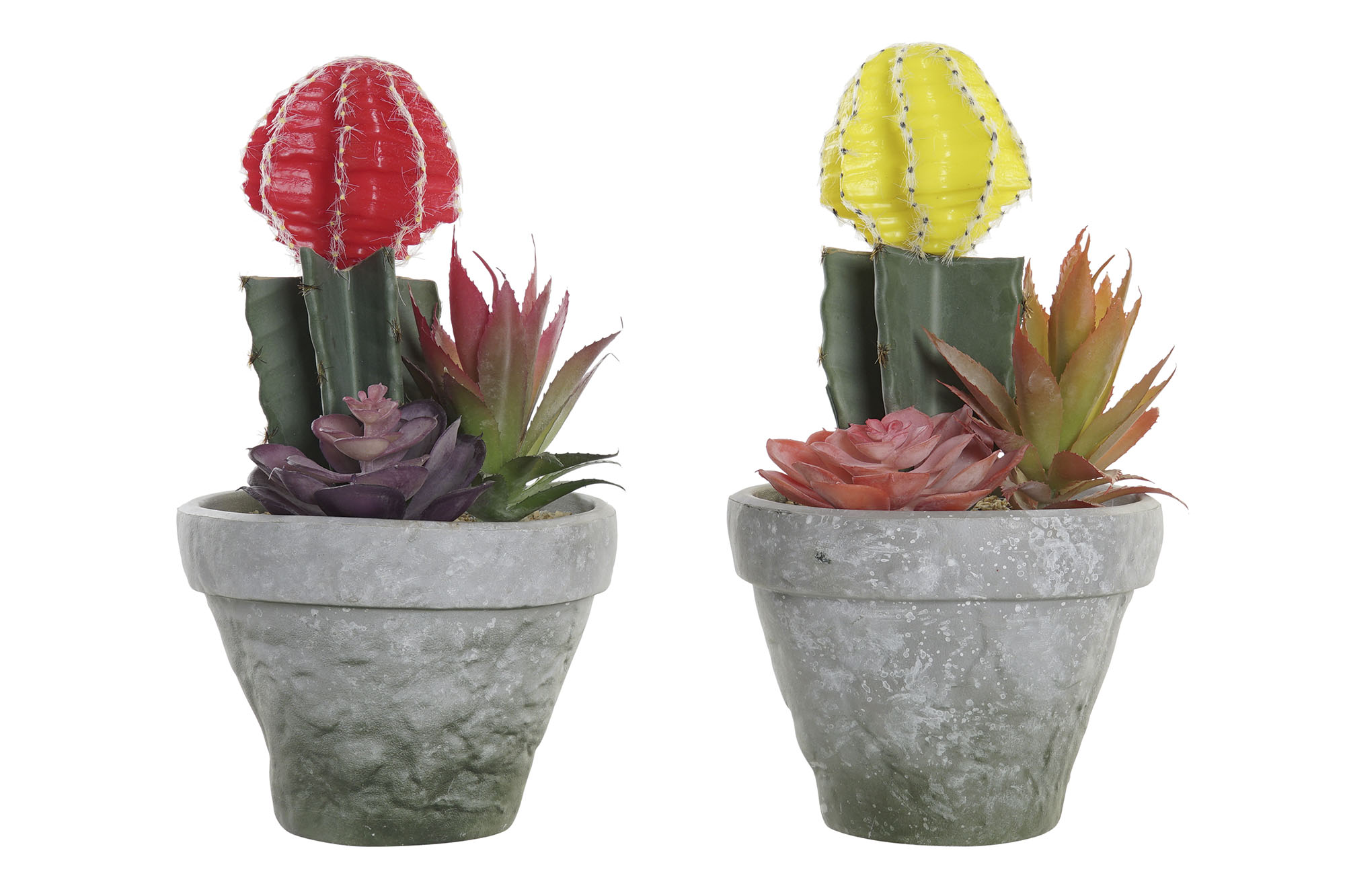 PLANTA PE EVA 17X16X28 2 SURT.