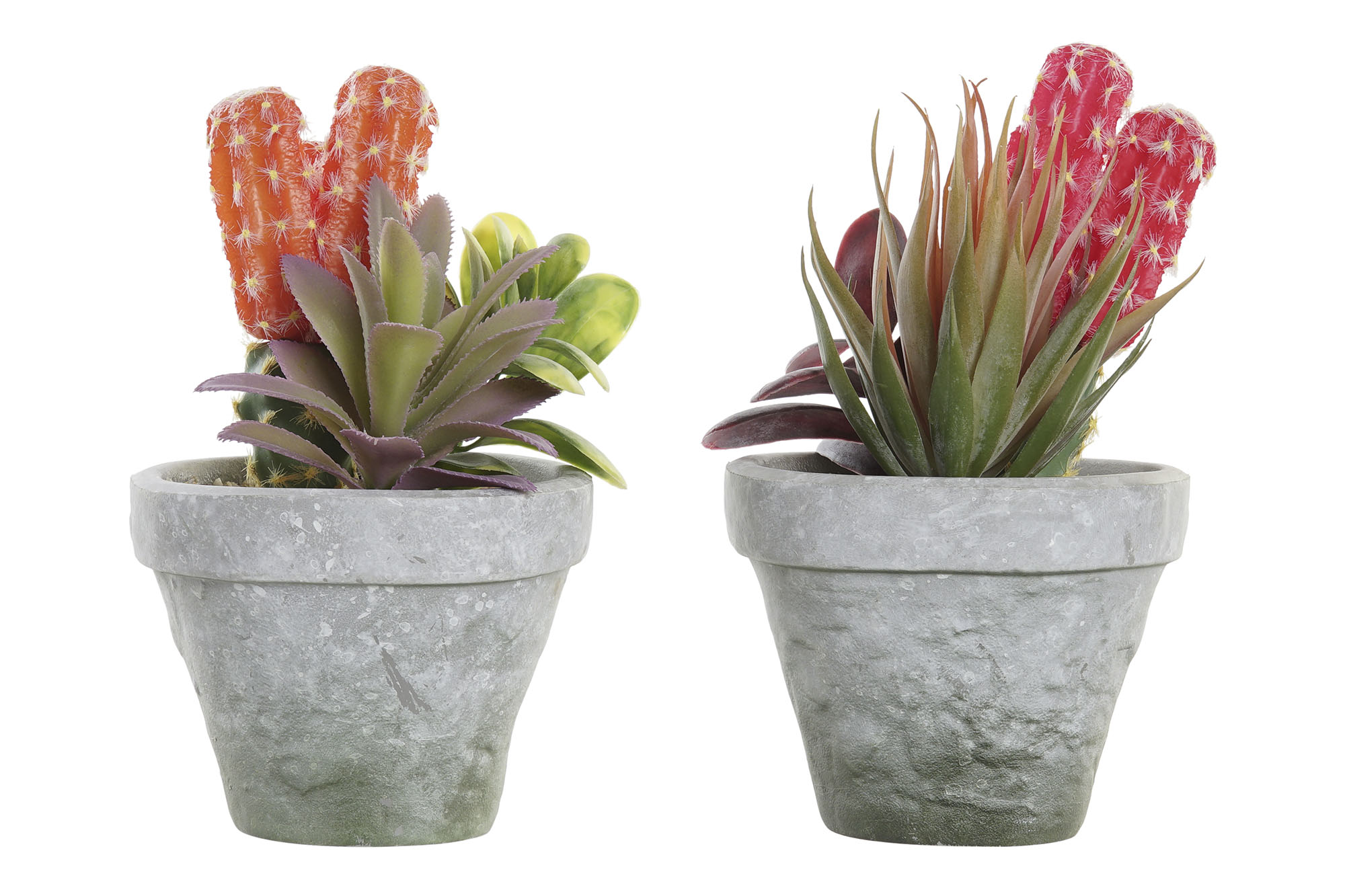 PLANTA PE EVA 16X12,5X19,5 2 SURT.