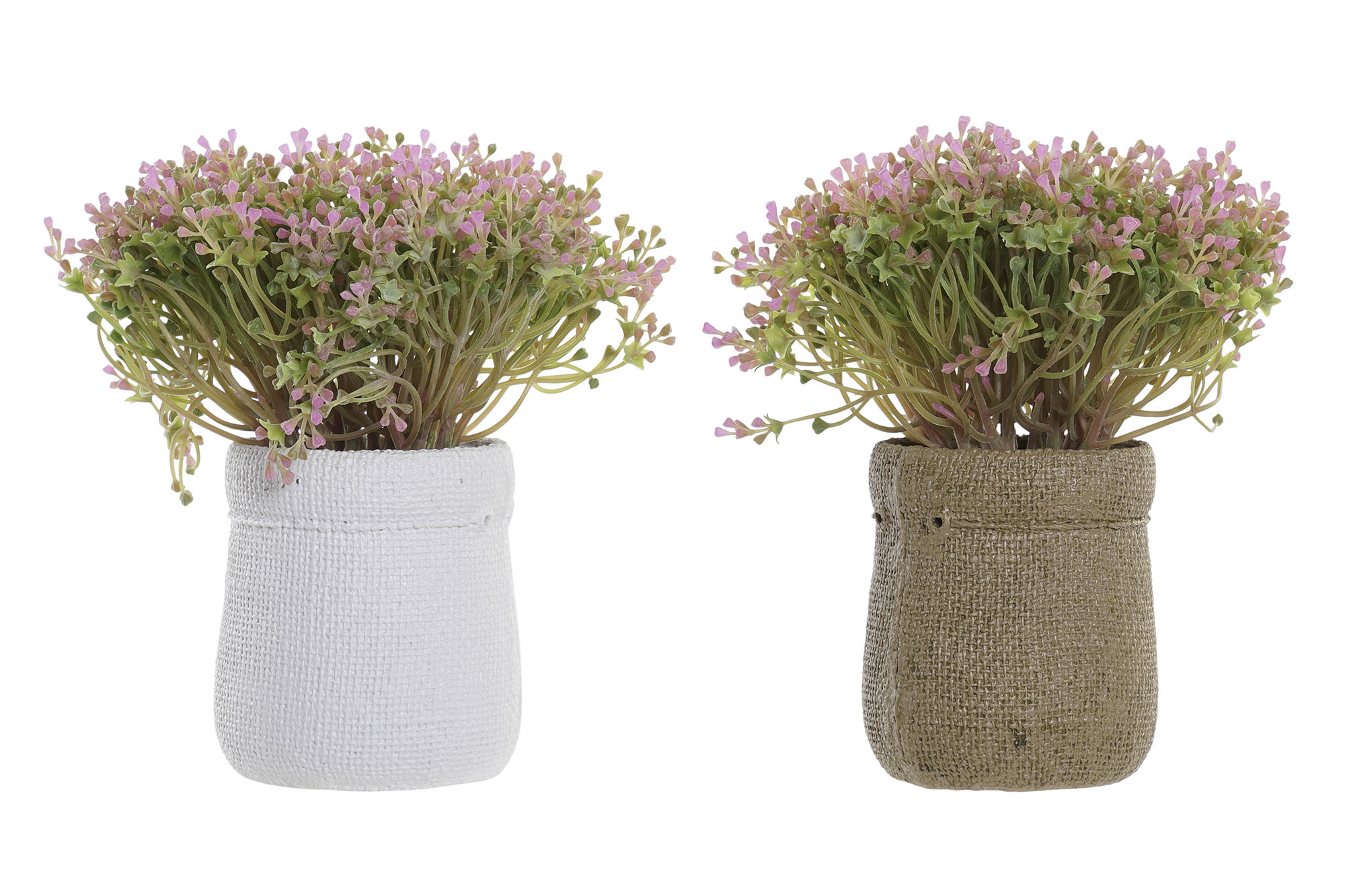 PLANTA PE EVA 20X20X19 2 SURT.