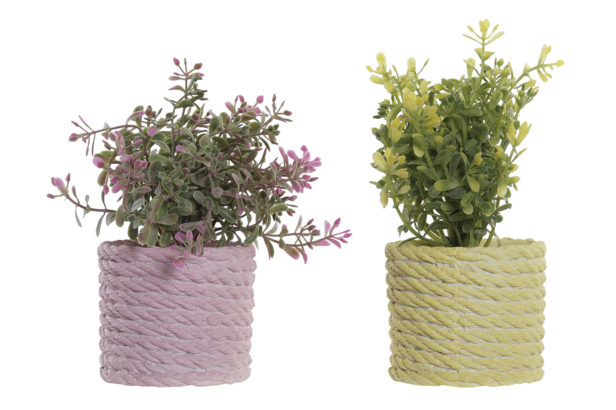 PLANTA PE EVA 15X15X17 2 SURT.