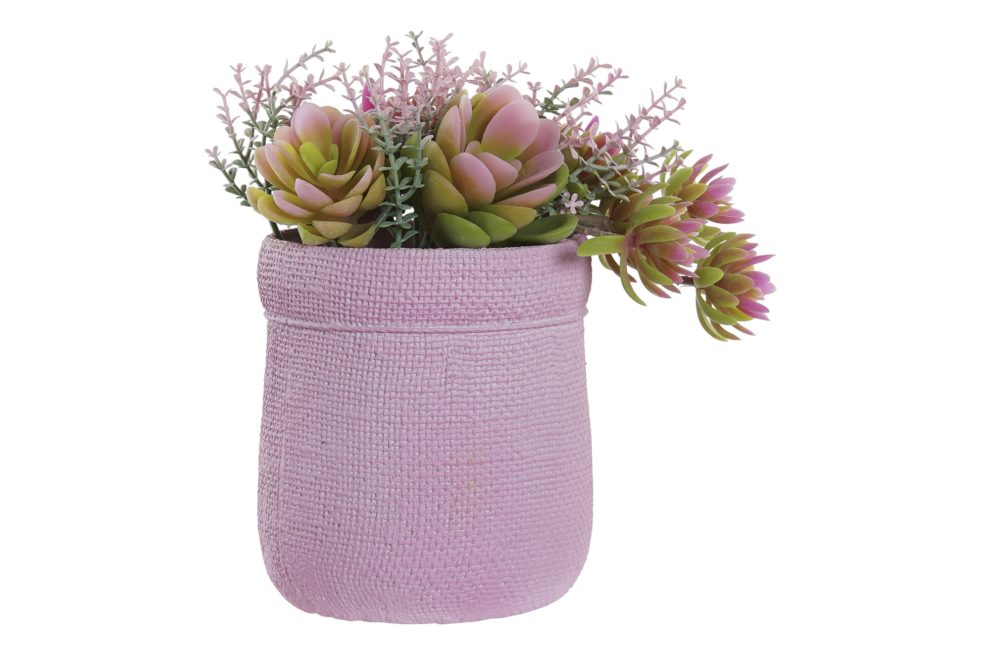 PLANTA PE EVA 17,5X14X20 2 SURT.