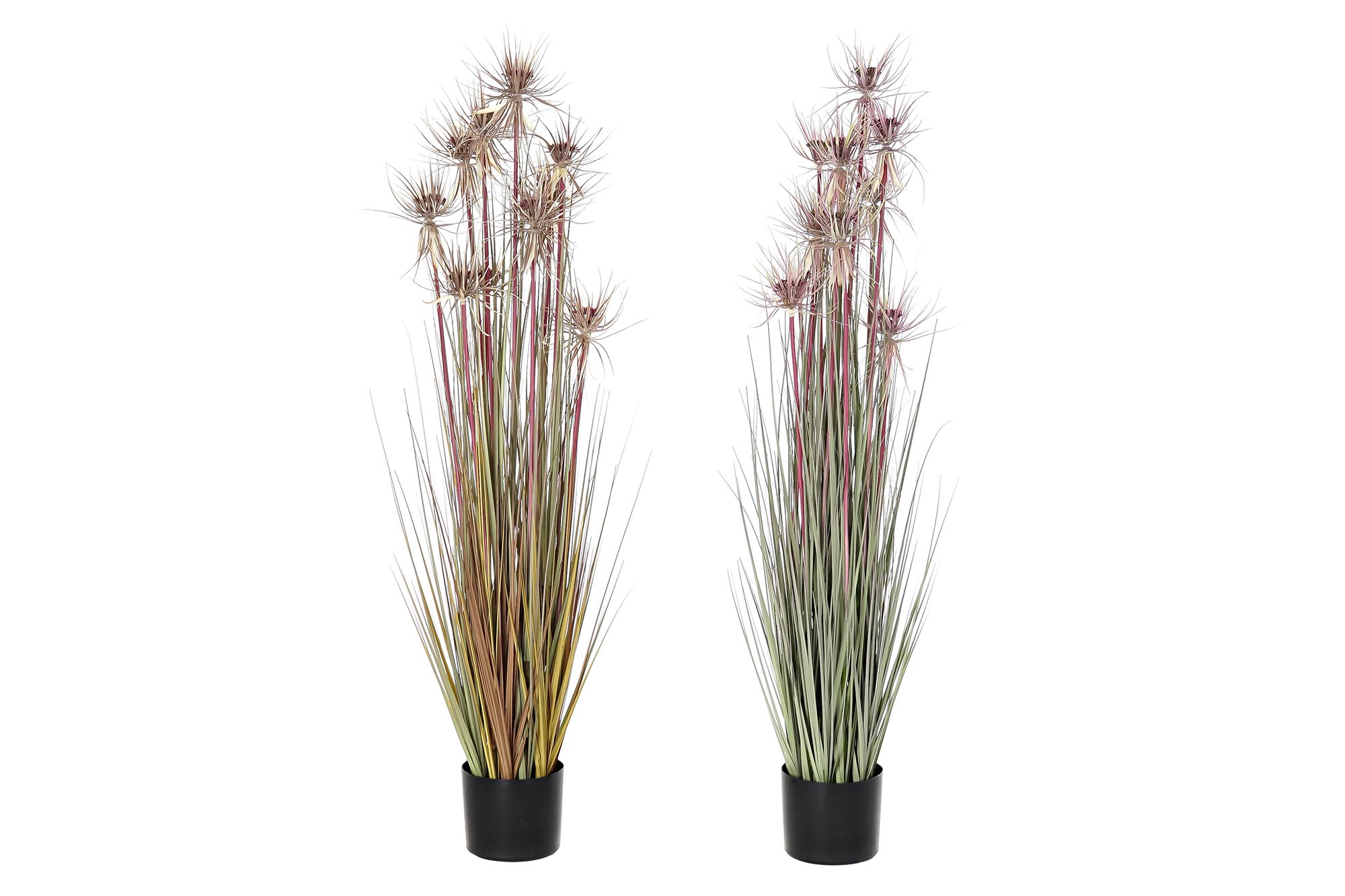 PLANTA PE PVC 40X40X120 2 SURT.
