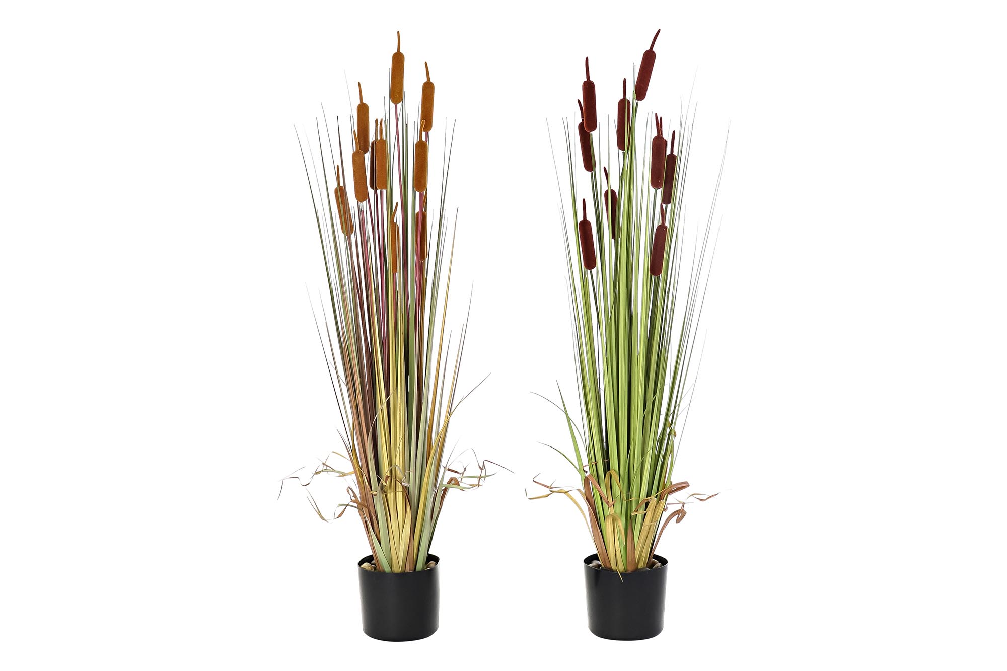PLANTA PE PVC 40X40X120 ESPADAÑA 2 SURT.