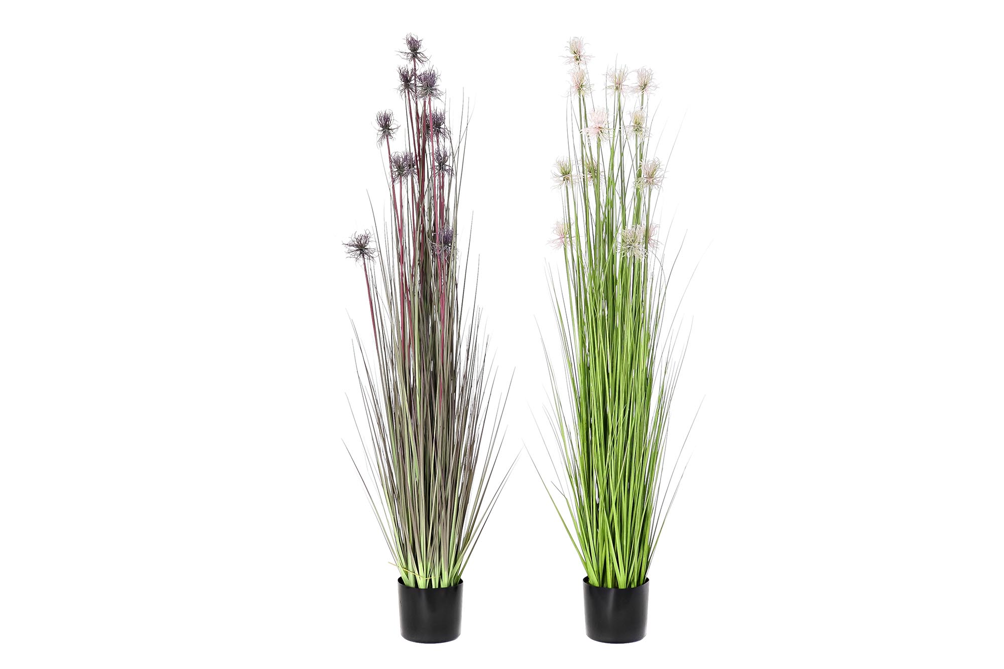 PLANTA PE PVC 40X40X150 ERIZO 2 SURT.