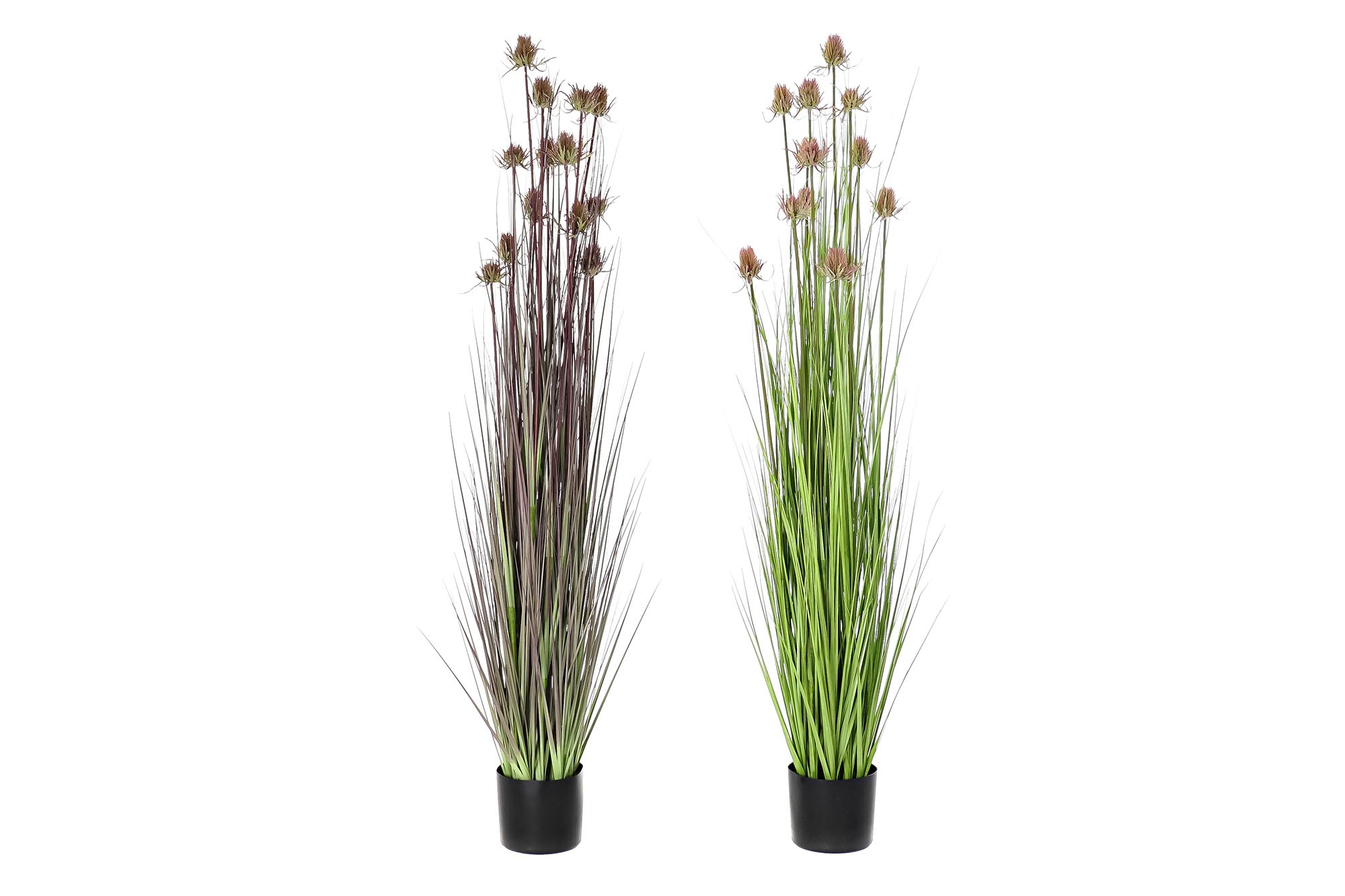 PLANTA PE PVC 40X40X150 CARDO 2 SURT.