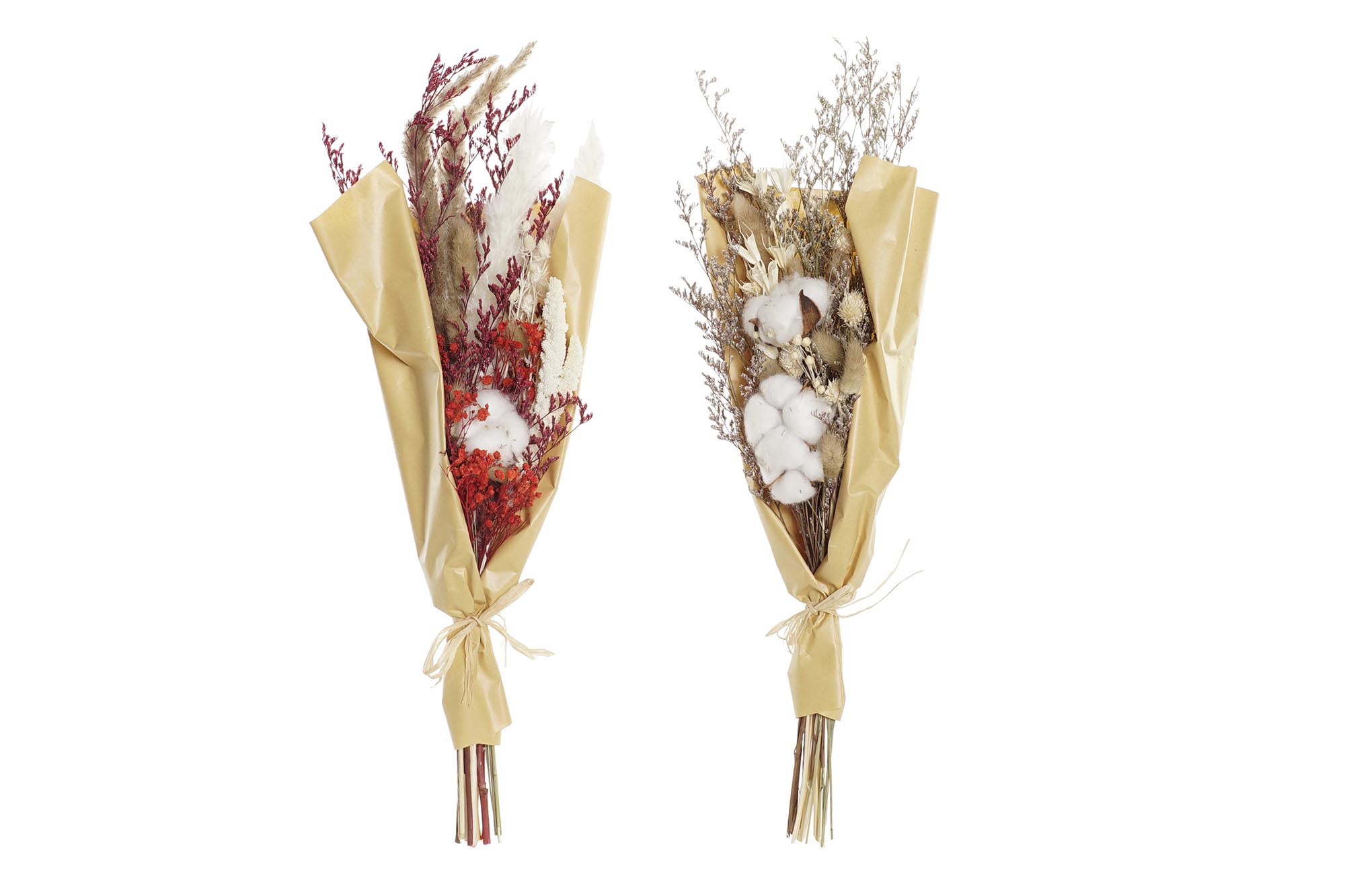 RAMO FLOR SECA 10X3X56 PRESERVADA 2 SURT.