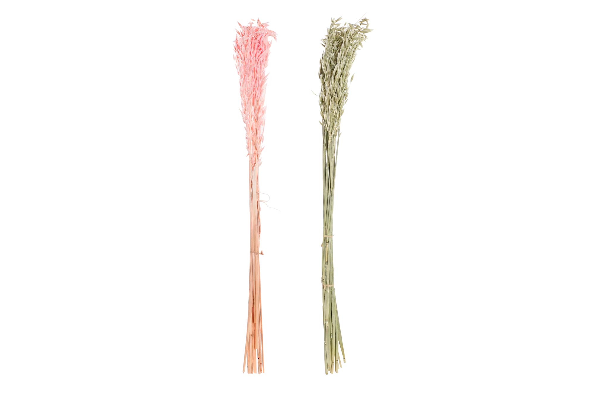RAMA FLOR SECA 8X4X60 AVENA 2 SURT.