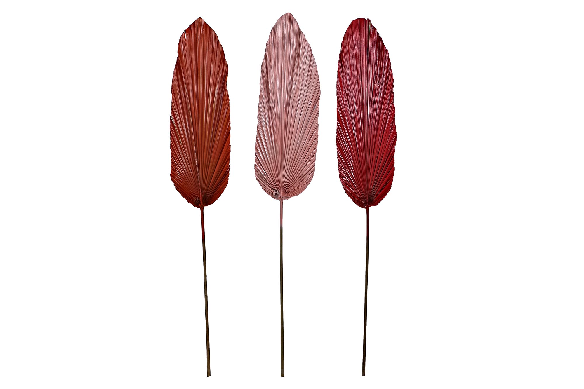 RAMA HOJA DE PALMERA 22X2X148 3 SURT.