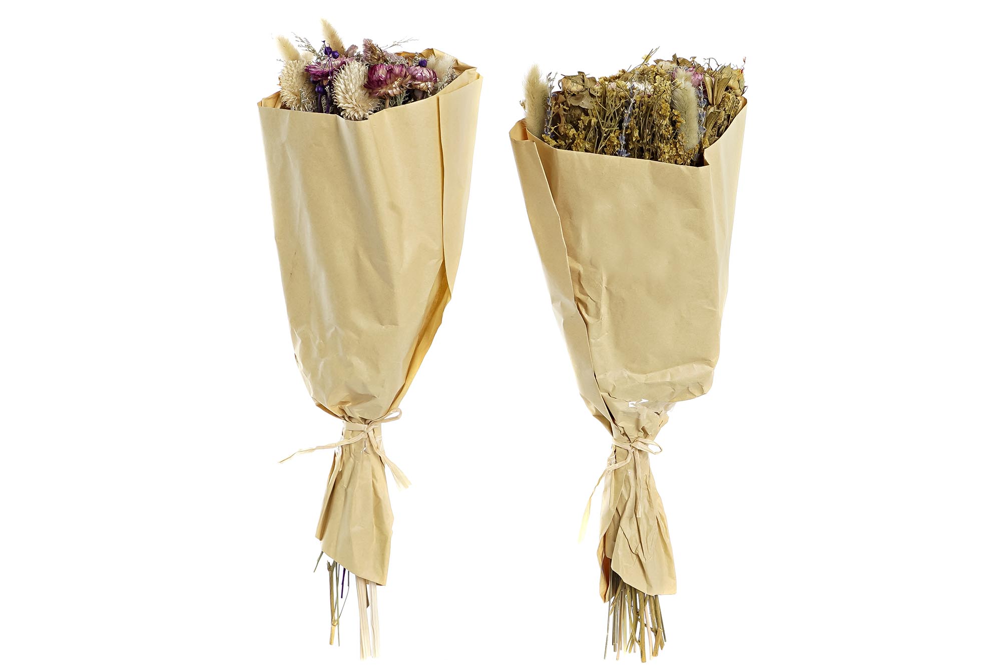 RAMO FLOR SECA 20X12X50 60GR 2 SURT.