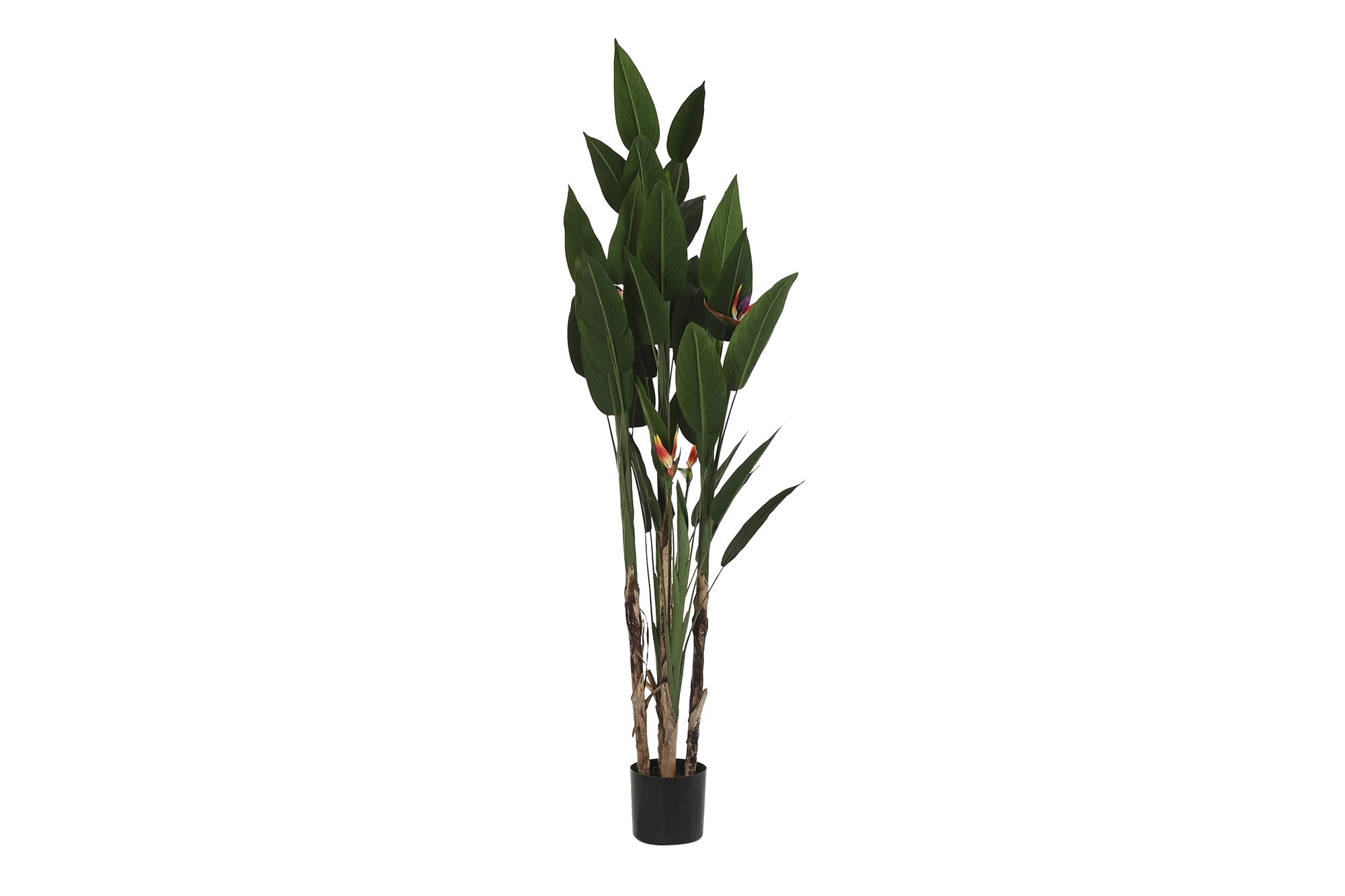 PLANTA POLIESTER PP 90X90X200 AVE DE PARAISO VERDE