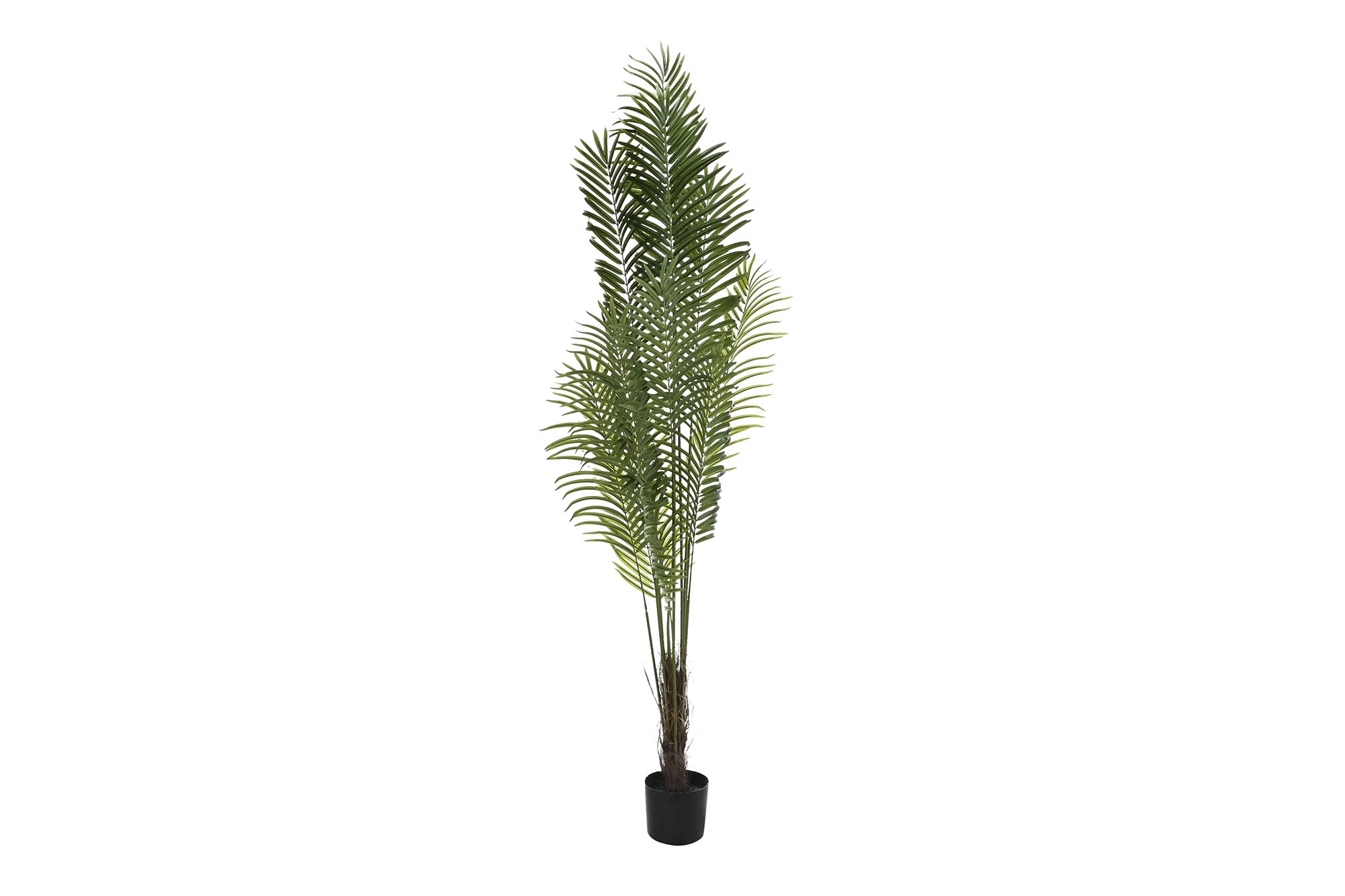 PLANTA POLIESTER PP 100X100X240 ARECA VERDE