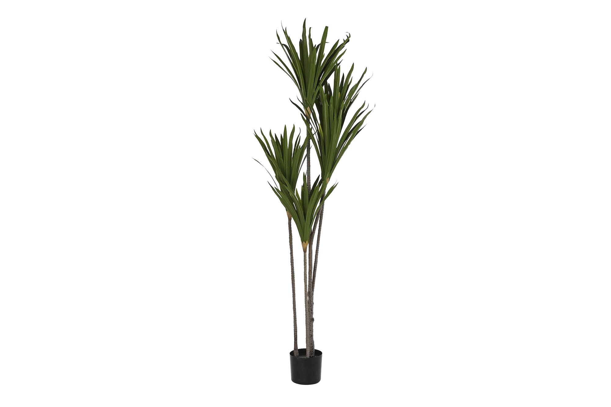 PLANTA POLIESTER PP 80X80X180 VERDE