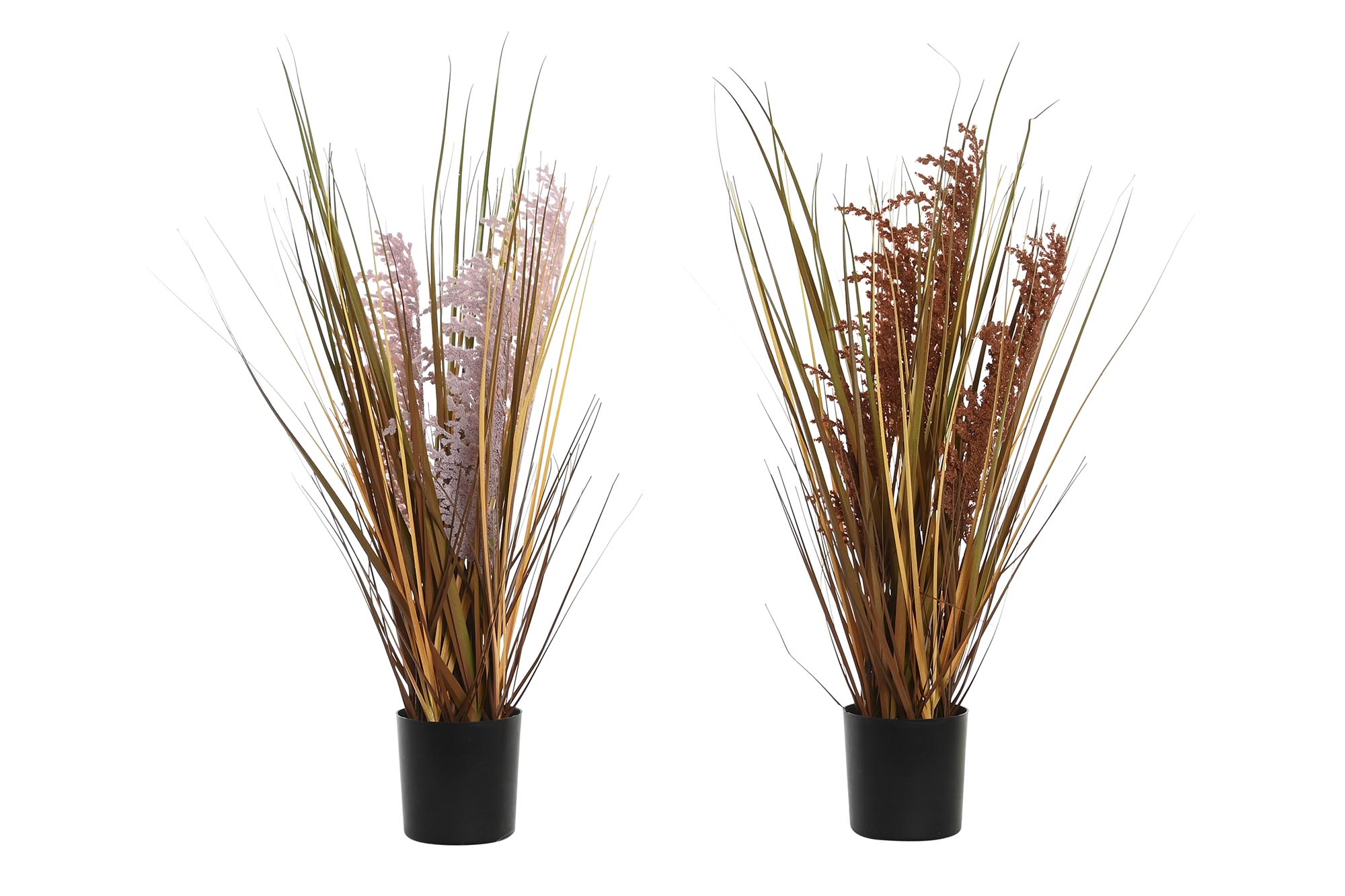 PLANTA PE 9,5X9,5X60 2 SURT.