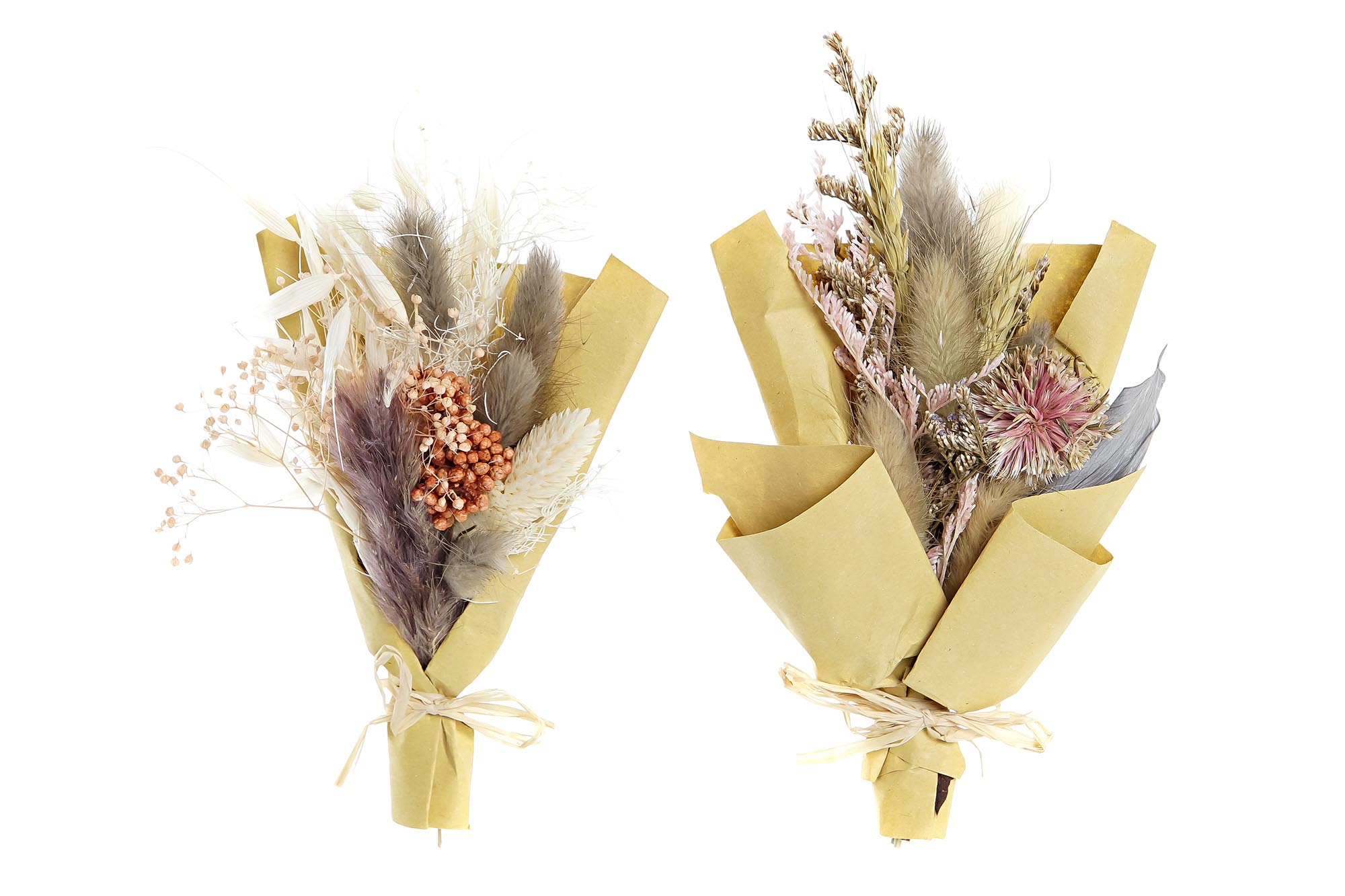 RAMO FLOR SECA 10X5X18 2 SURT.