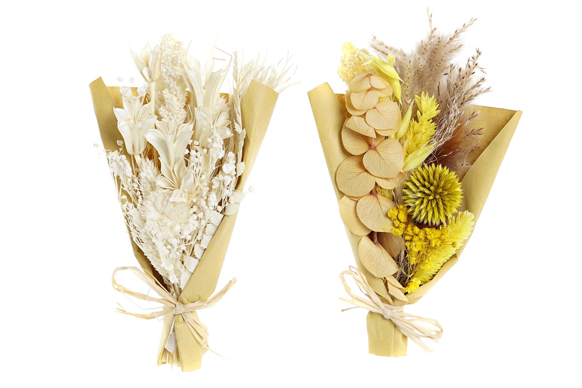 RAMO FLOR SECA 10X5X18 2 SURT.