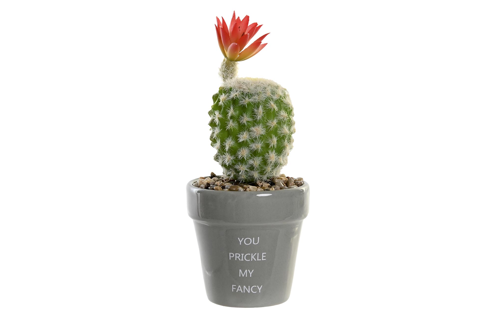 PLANTA CERAMICA PE 8X8X20 CACTUS 2 SURT.