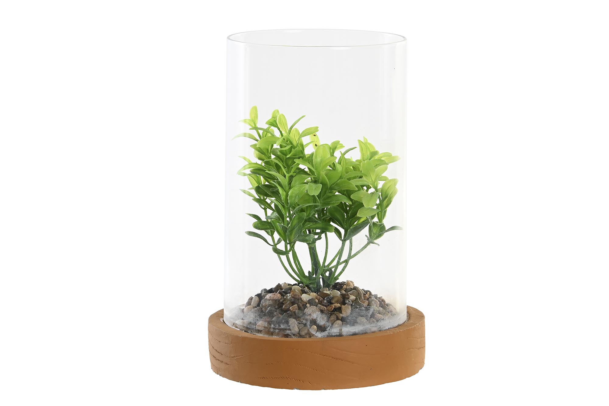 PLANTA PE CRISTAL 12X12X18 2 SURT.