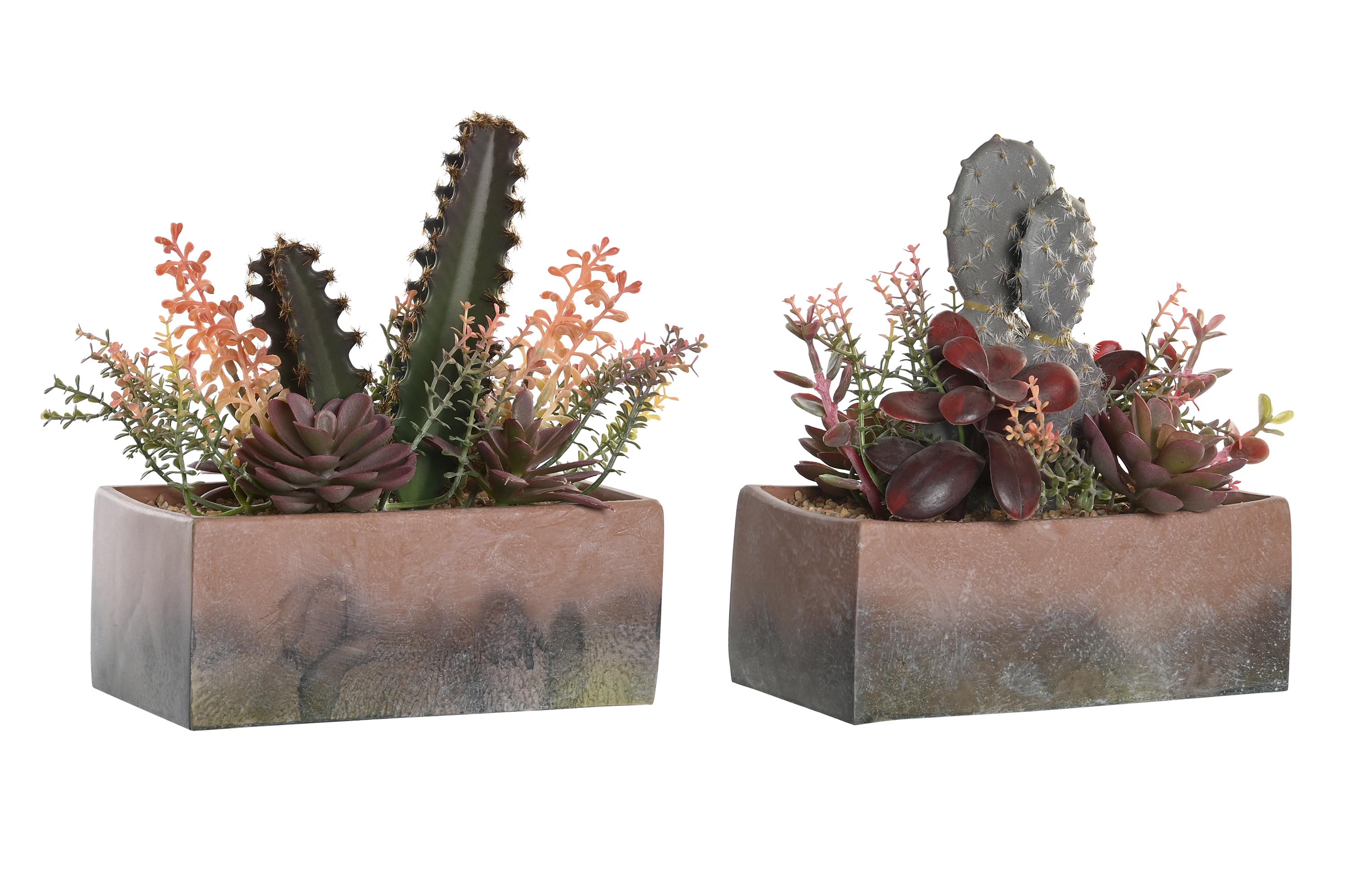 PLANTA PP EVA 19X9X22 CACTUS 2 SURT.