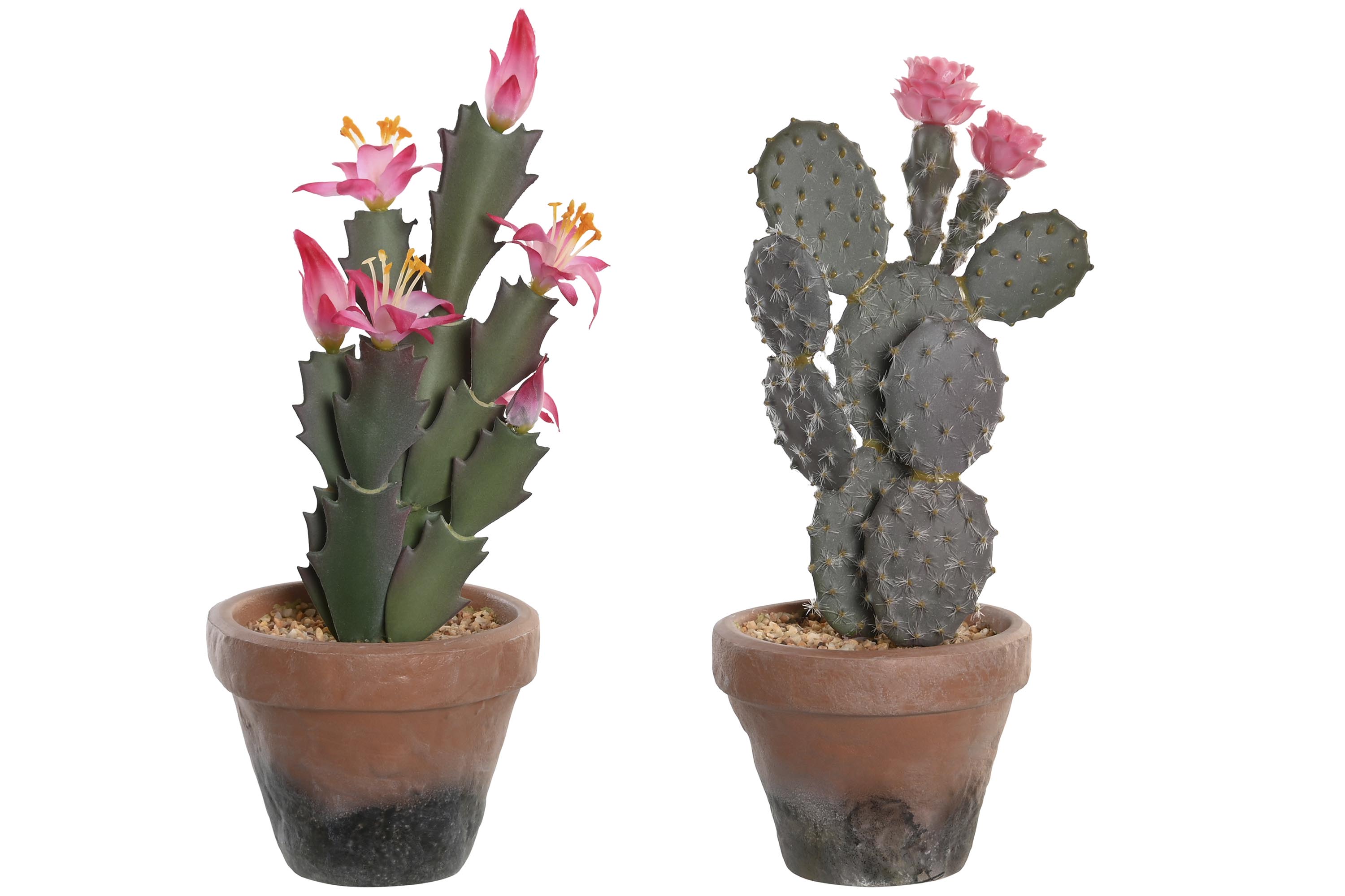 PLANTA PP EVA 15X15X29 CACTUS 2 SURT.
