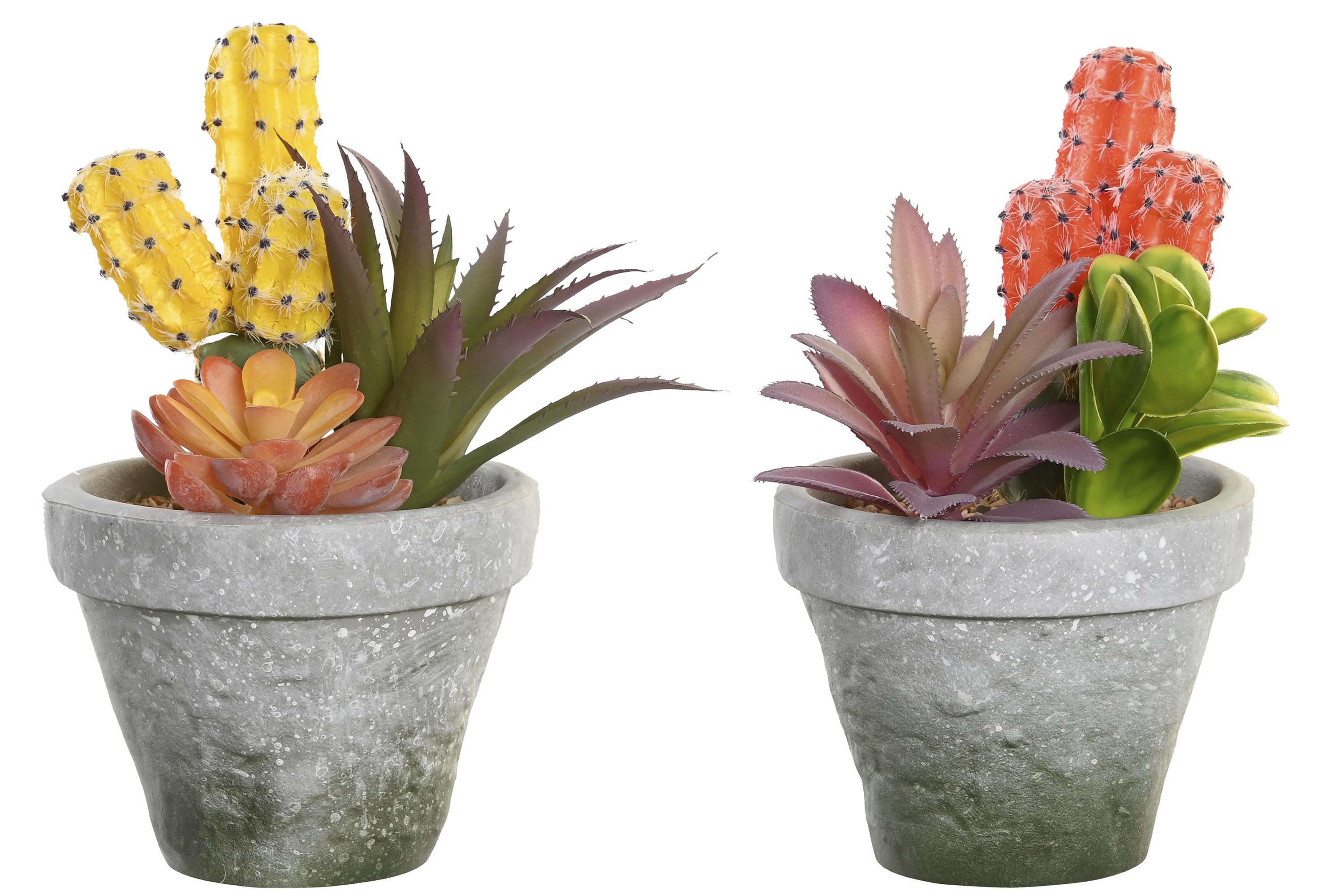 PLANTA PP EVA 12X11X19 CACTUS 2 SURT.