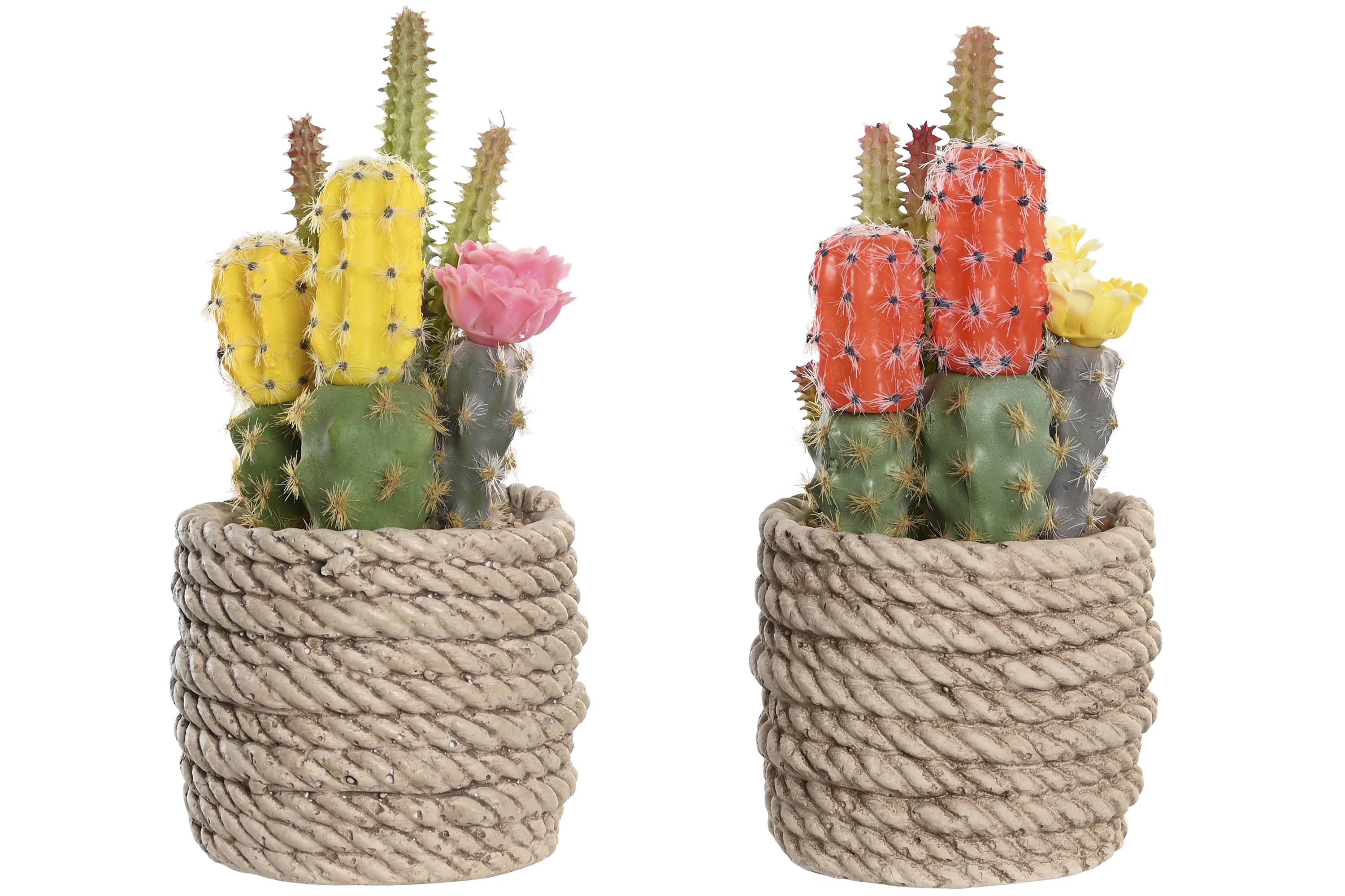 PLANTA PE EVA 9,5X9X18 CACTUS 2 SURT.