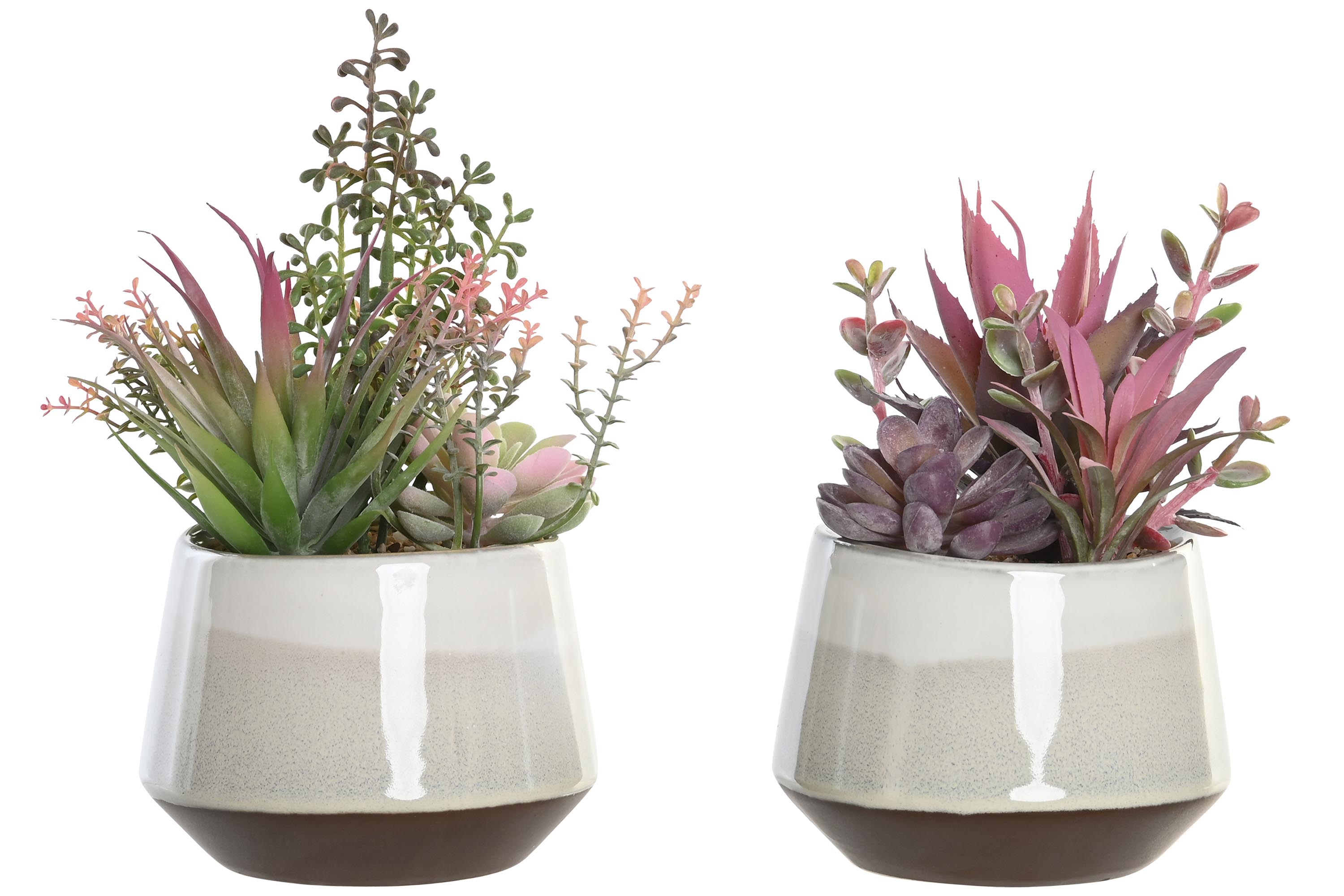 PLANTA PP ESPUMA 17X15,5X24 2 SURT.