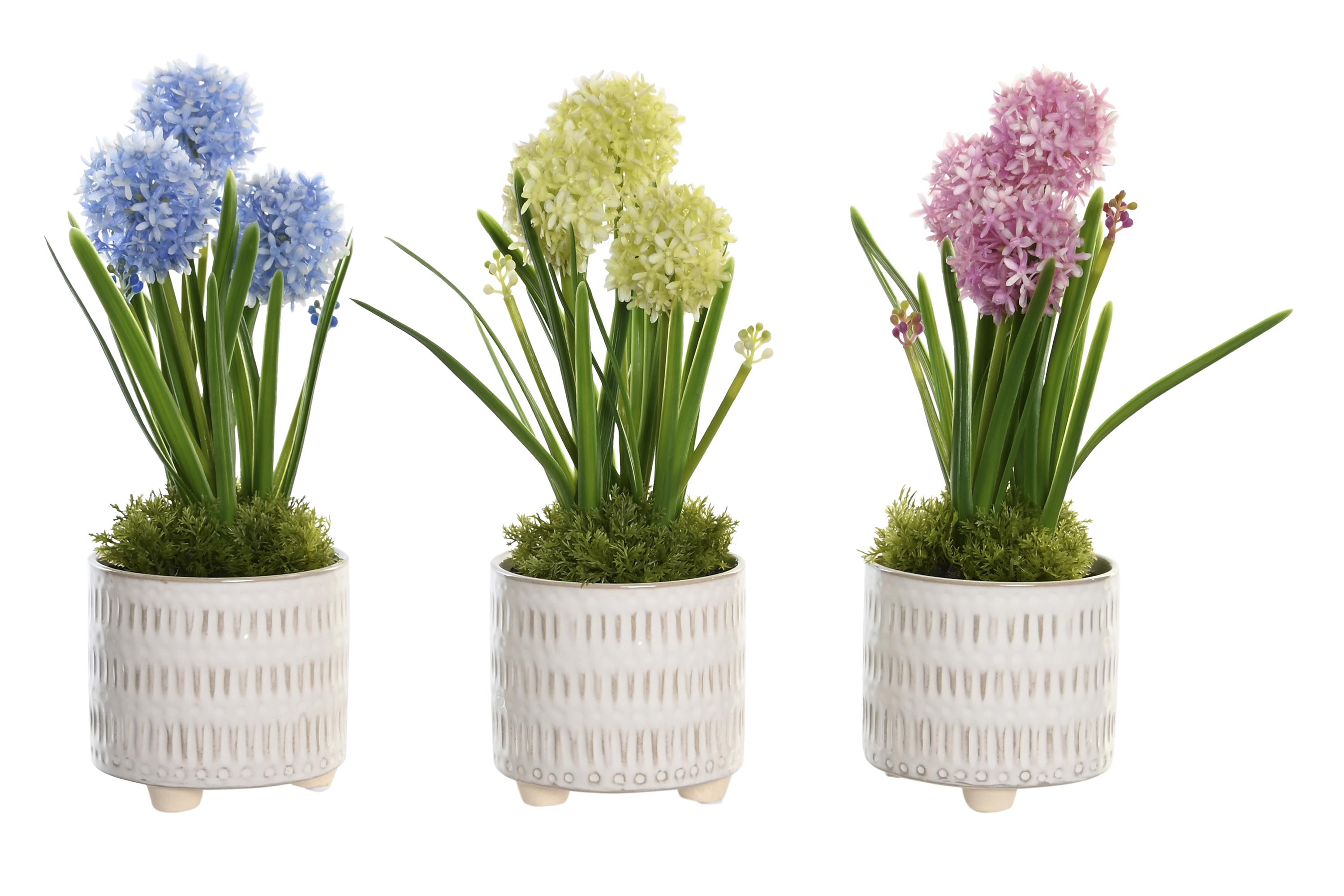 PLANTA PP ESPUMA 15X15X30 3 SURT.