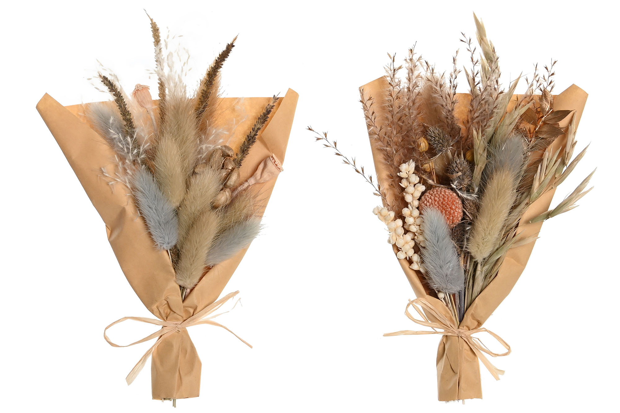 RAMO FLOR SECA 10X5X18 2 SURT.