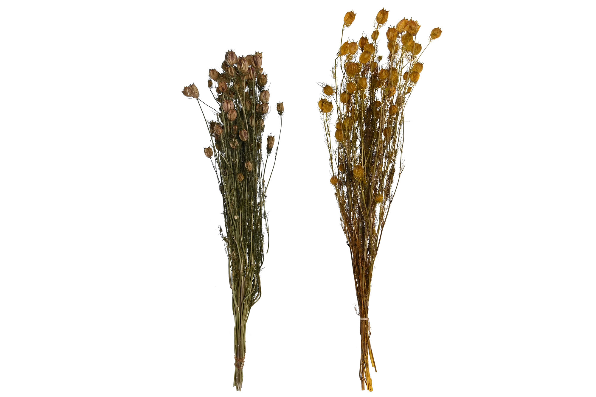 RAMO FLOR SECA 20X20X70 2 SURT.