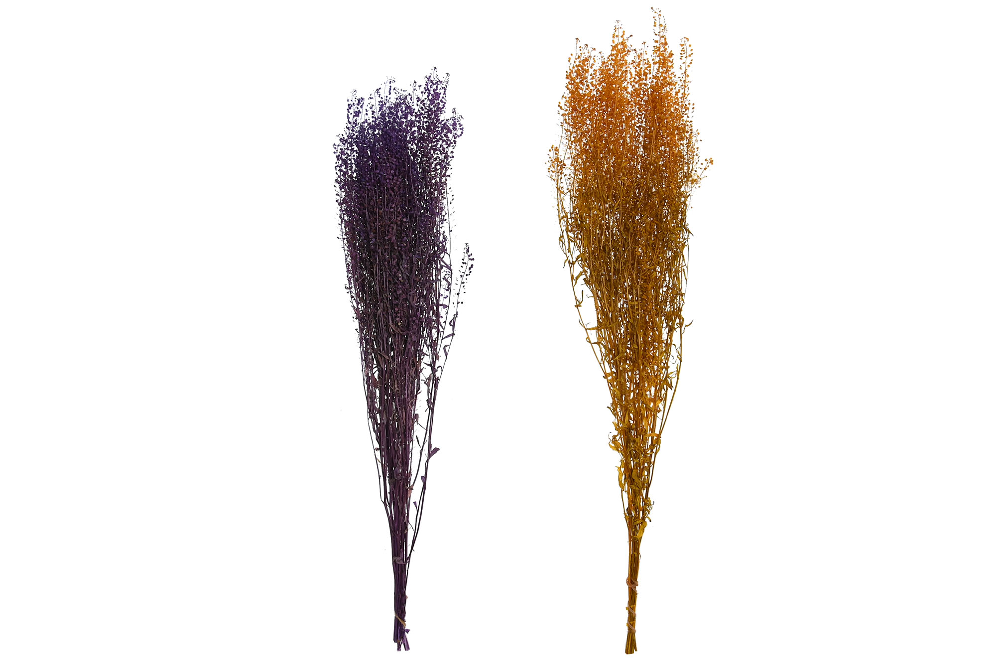 RAMO FLOR SECA 20X10X60 50GR 2 SURT.