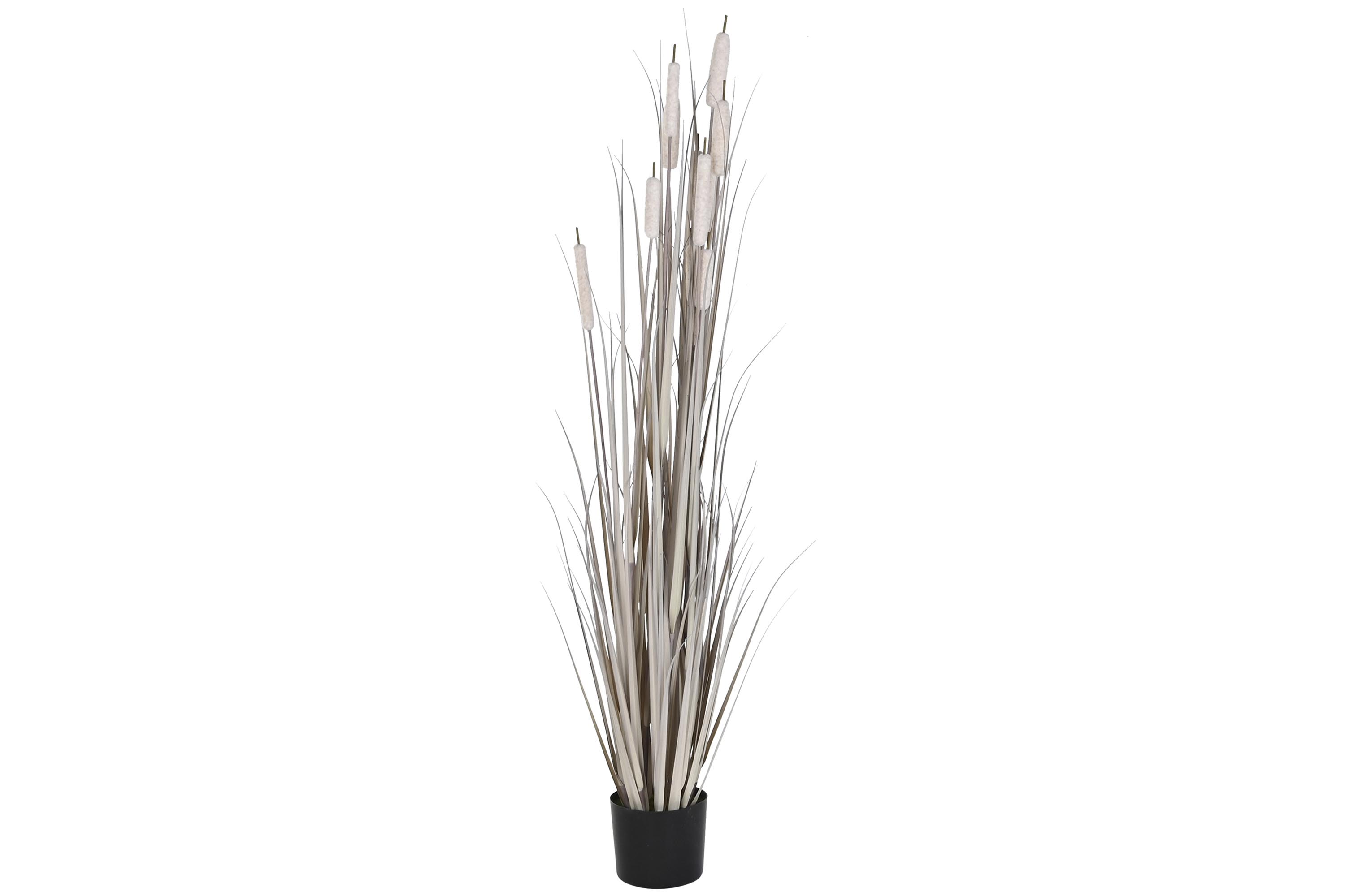 PLANTA PVC 45X45X150 JUNCO GRIS CLARO