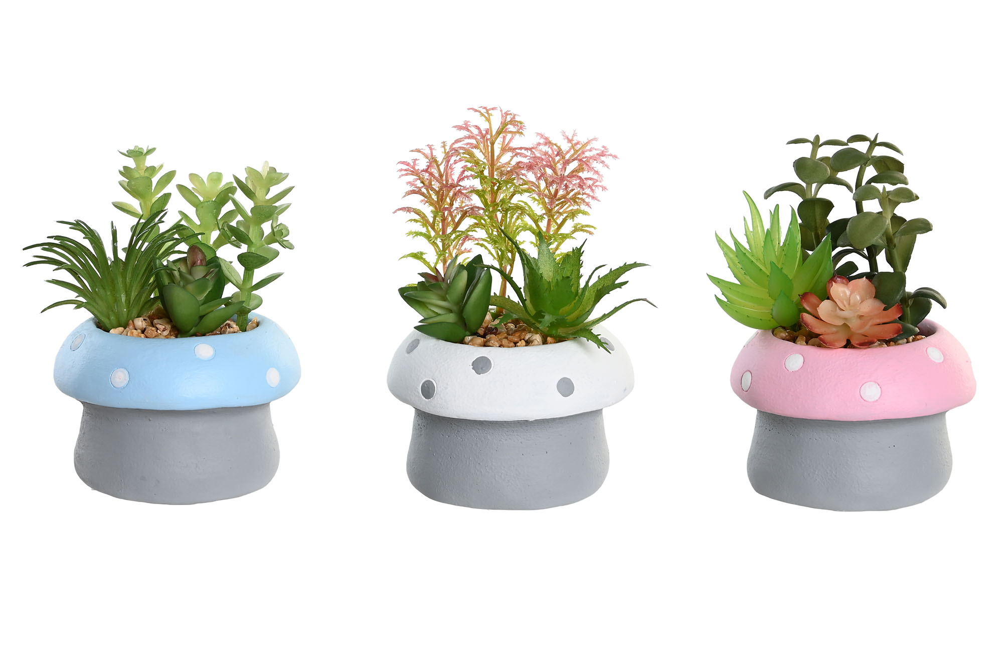 PLANTA CEMENTO PE 9X9X11,5 SETA 3 SURT.