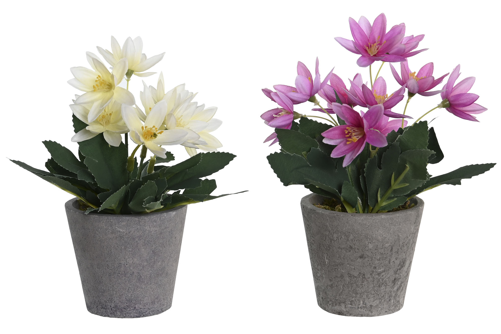 PLANTA POLIESTER PE 8X8X18 LOTUS 2 SURT.