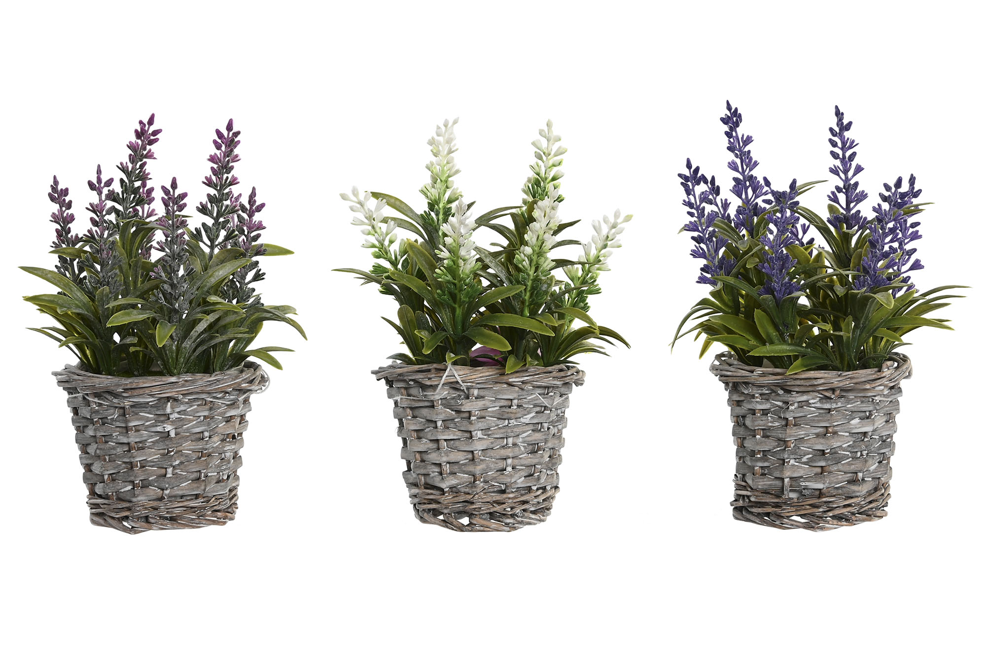 PLANTA PE MADERA 7X7X20 LAVANDA 3 SURT.