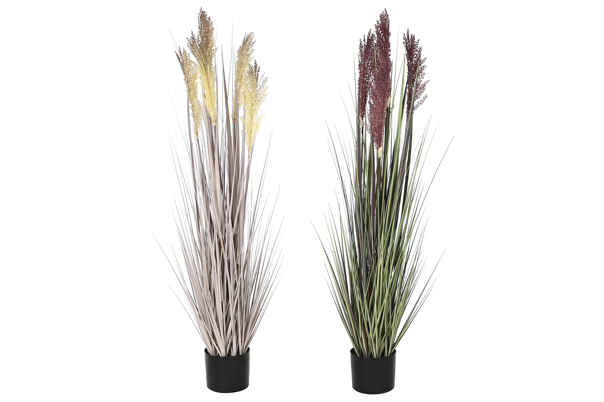 PLANTA PE PVC 35X35X120 PLUMERO 2 SURT.