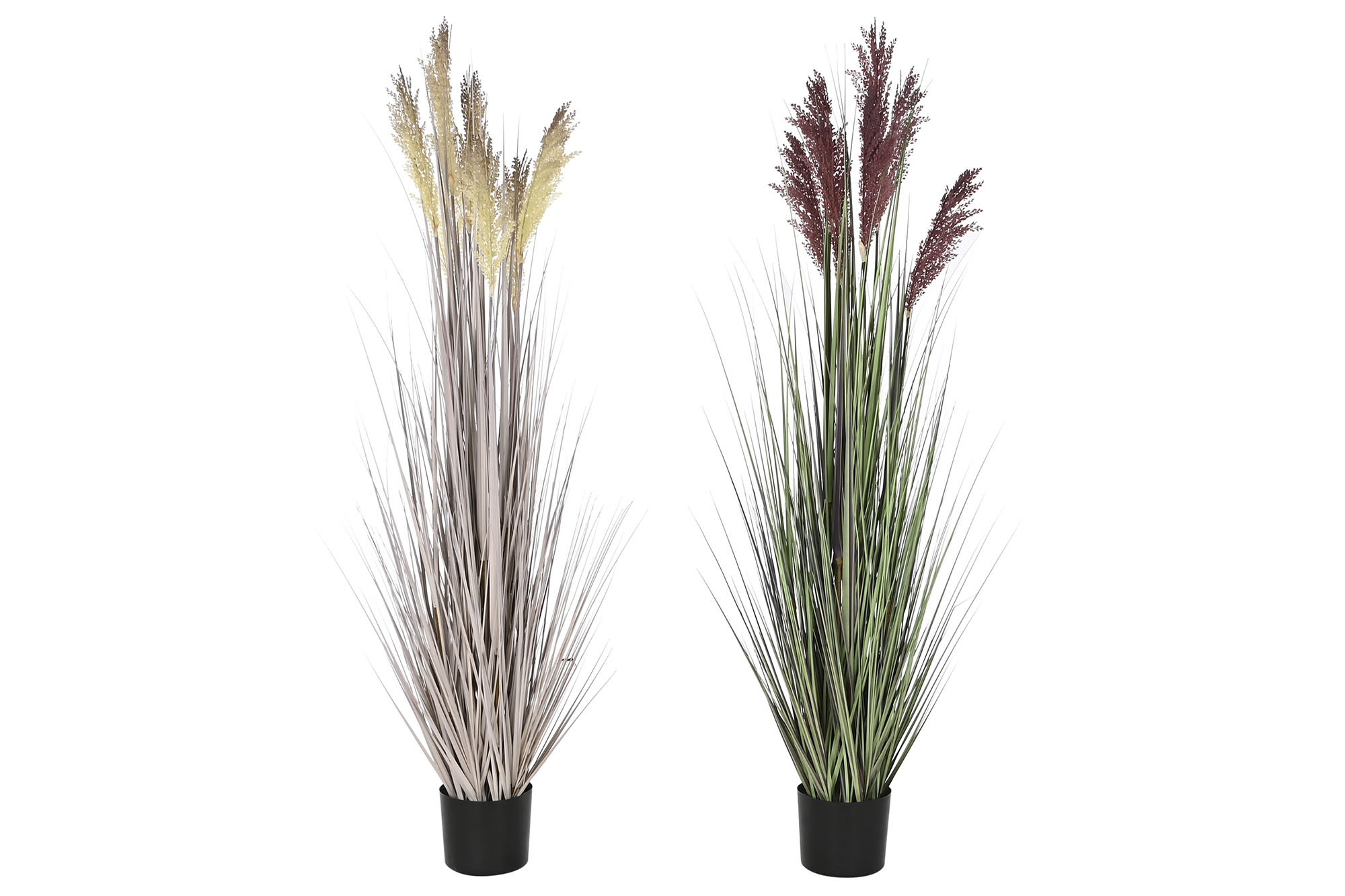 PLANTA PE PVC 45X45X150 PLUMERO 2 SURT.