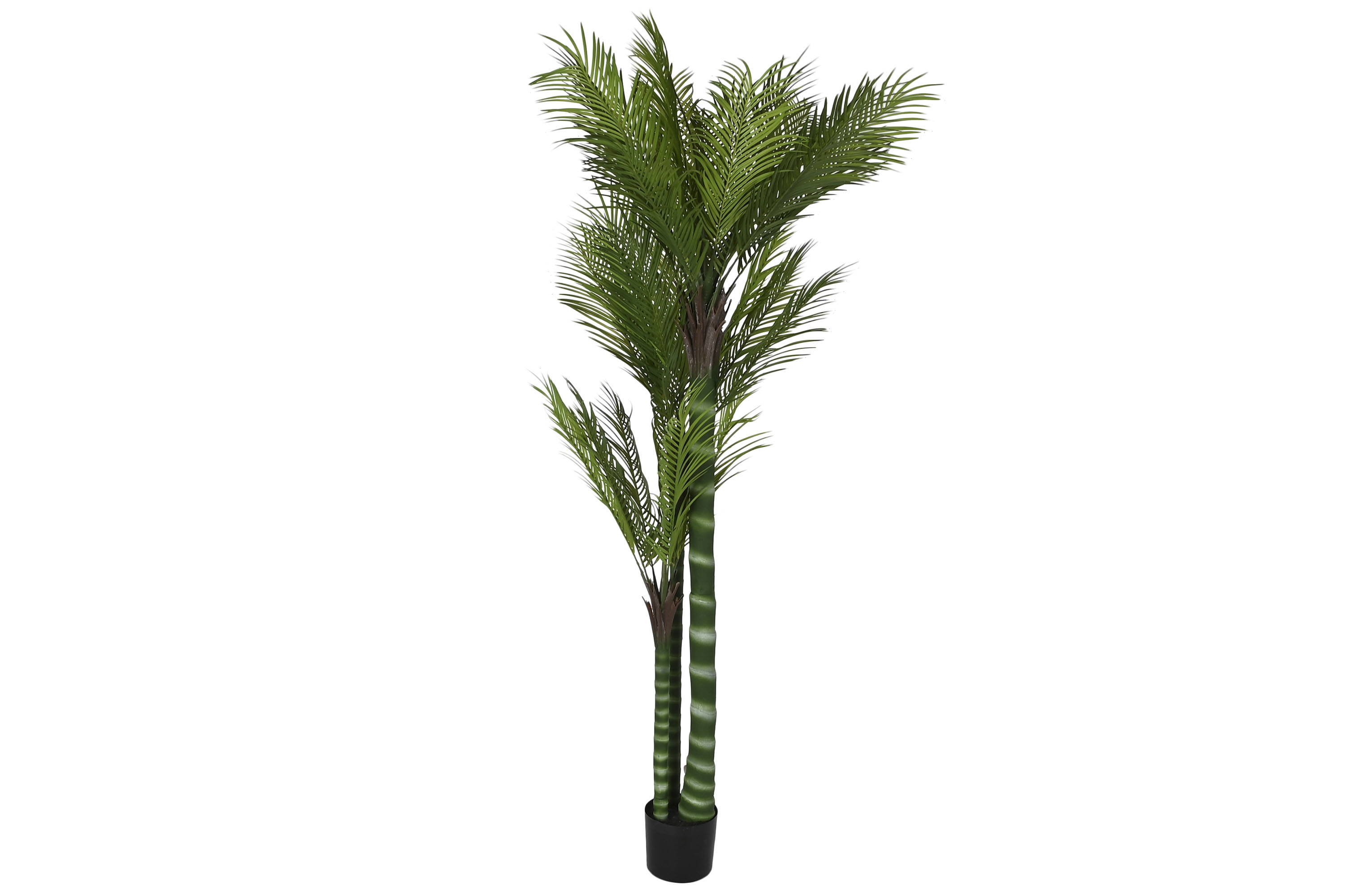 PLANTA PE CEMENTO 100X100X235 PALMERA VERDE