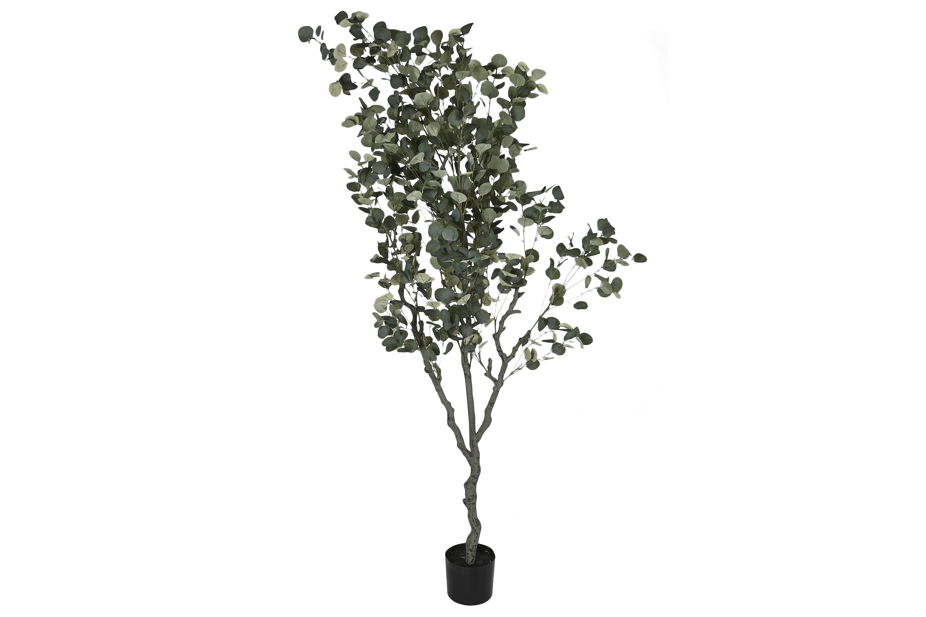 ARBOL PE CEMENTO 80X80X230 EUCALIPTO VERDE