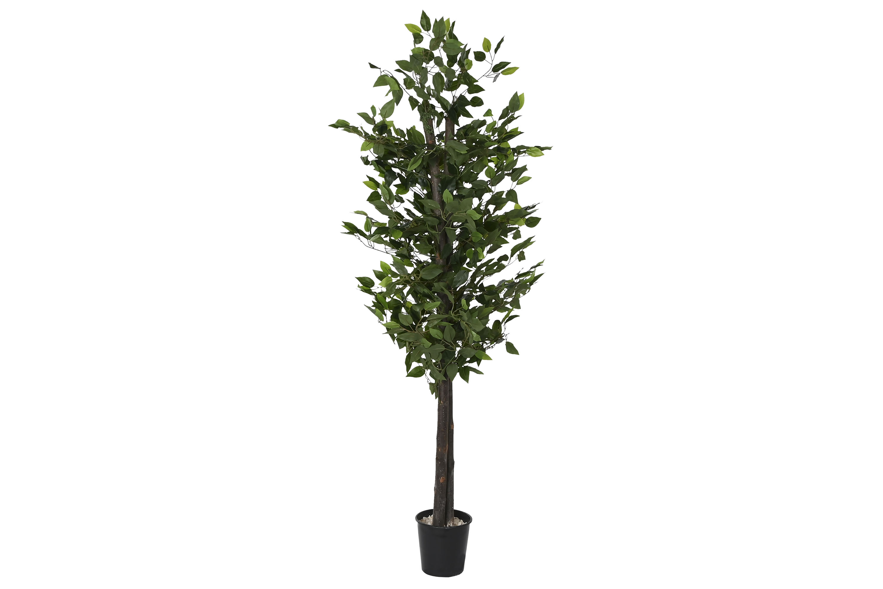 ARBOL MADERA POLIESTER 80X80X180 FICUS VERDE
