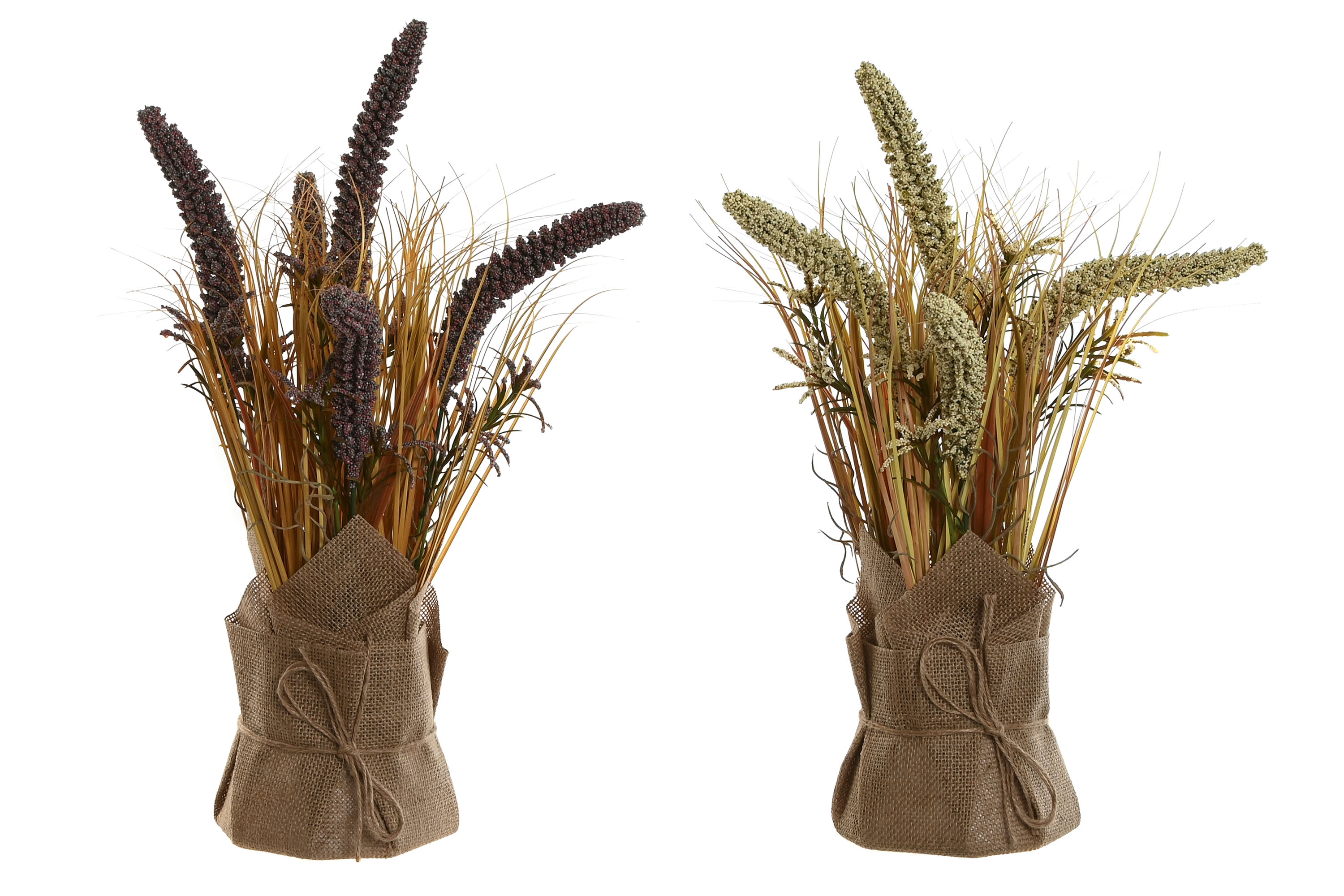 PLANTA PE LINO 15X15X50 URARIA CRINITA 2 SURT.